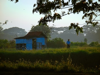 a person standing in a field