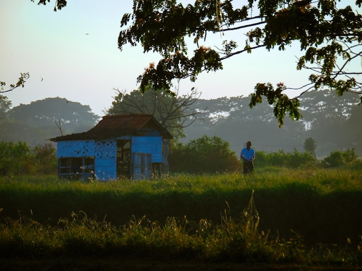 a person standing in a field