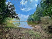 A freshly excavated pond surrounded by green trees and blue sky.
