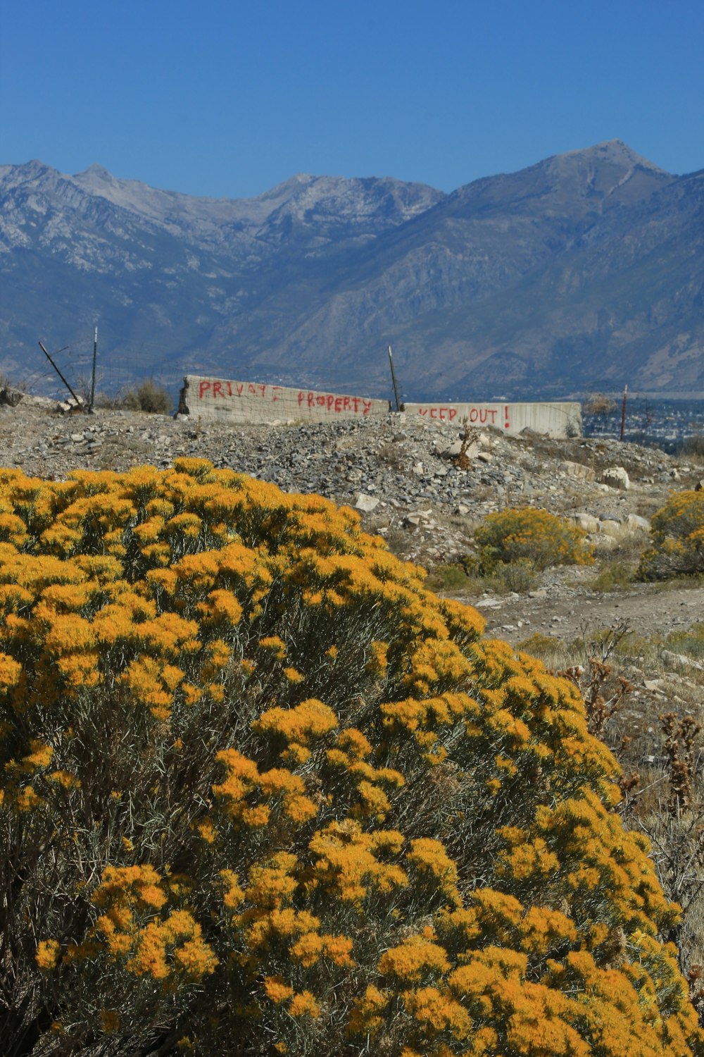 a train going through a valley