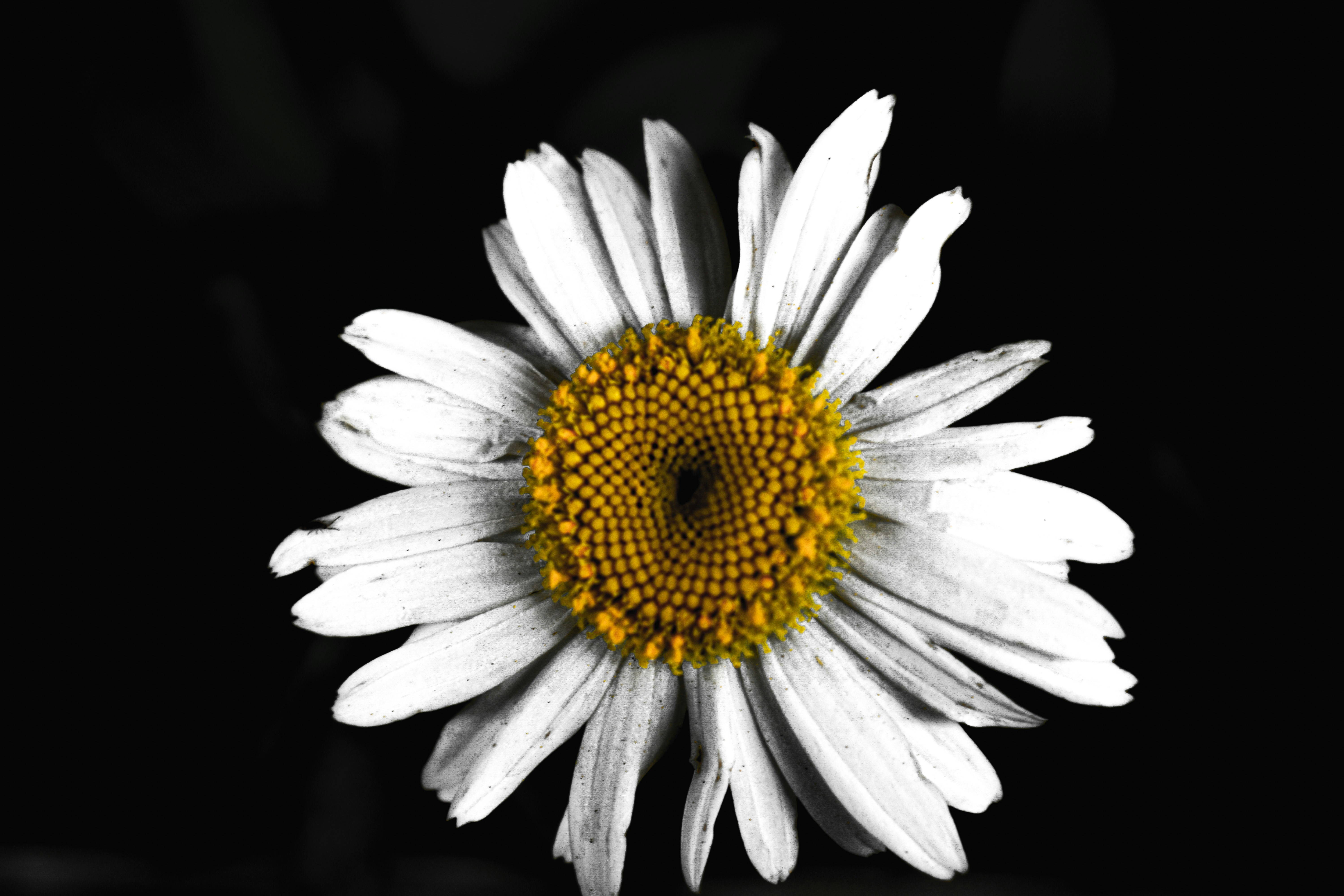 Popayán, Colombia - None