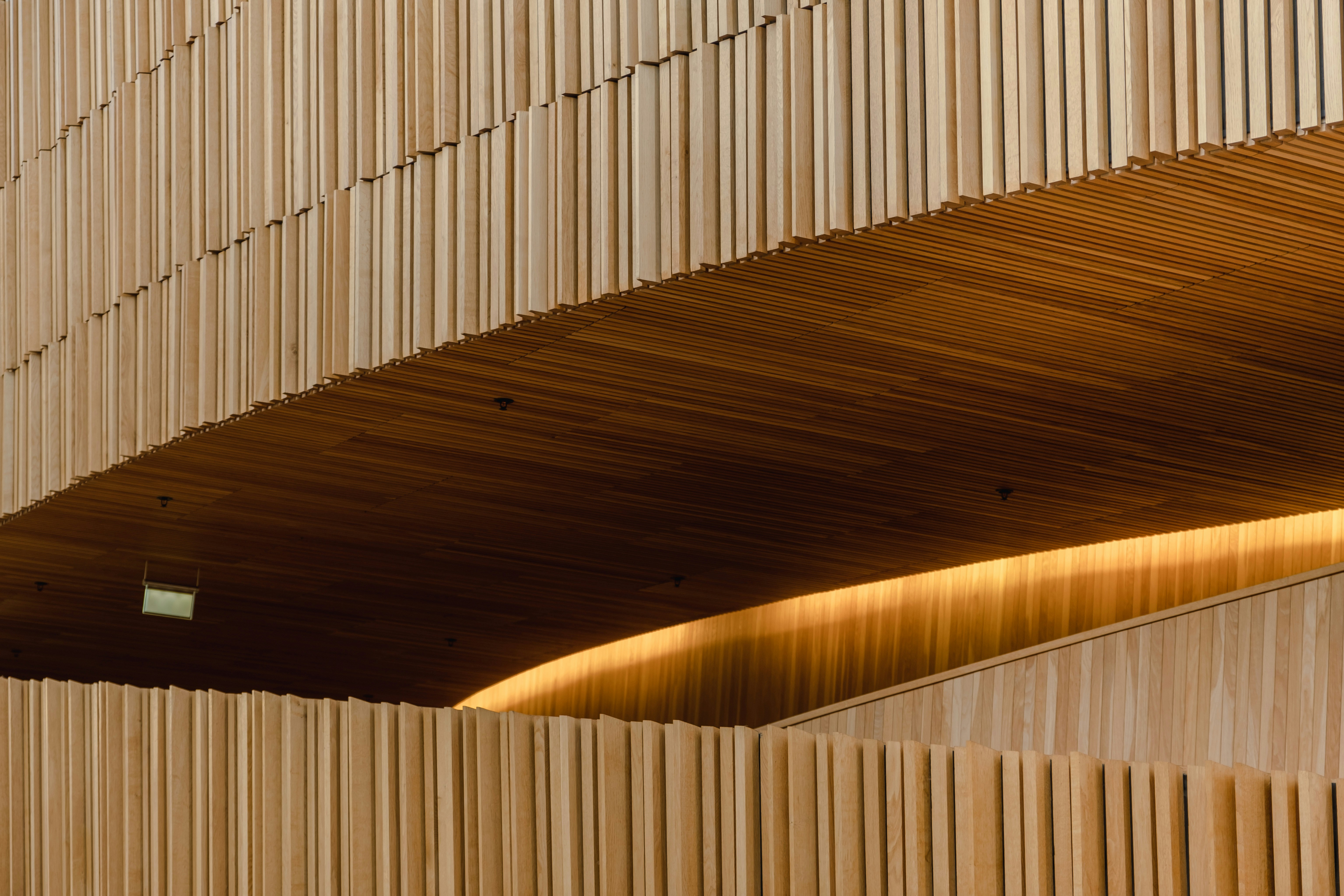 Photo by olgayakovlenko