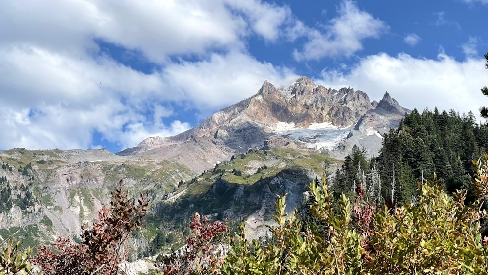 a mountain range with trees