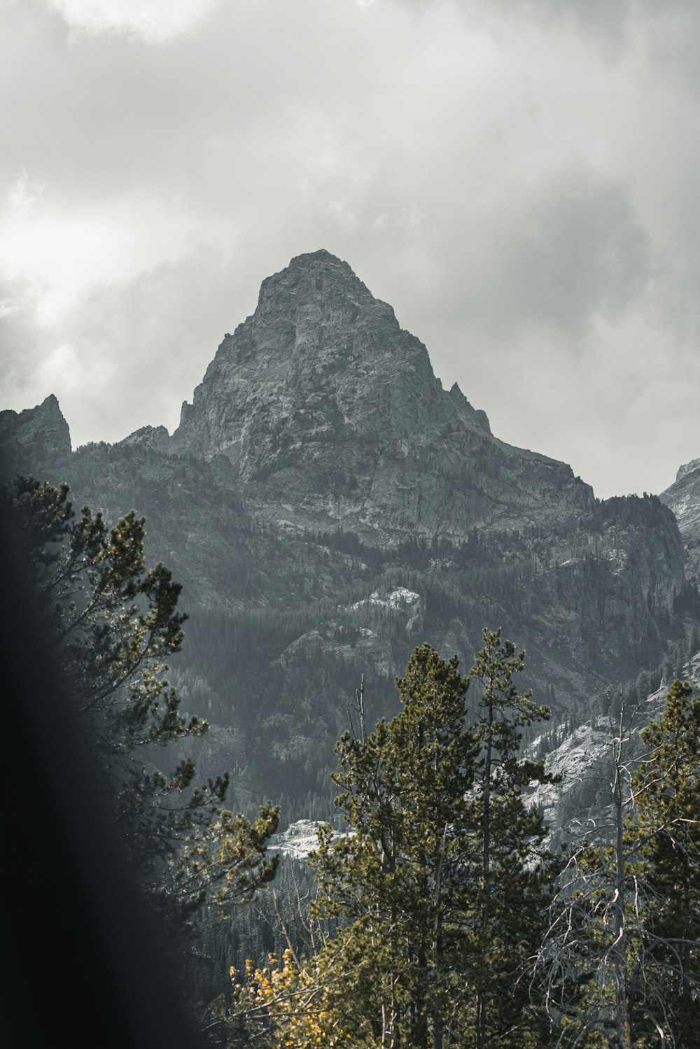 a mountain with trees in front of it