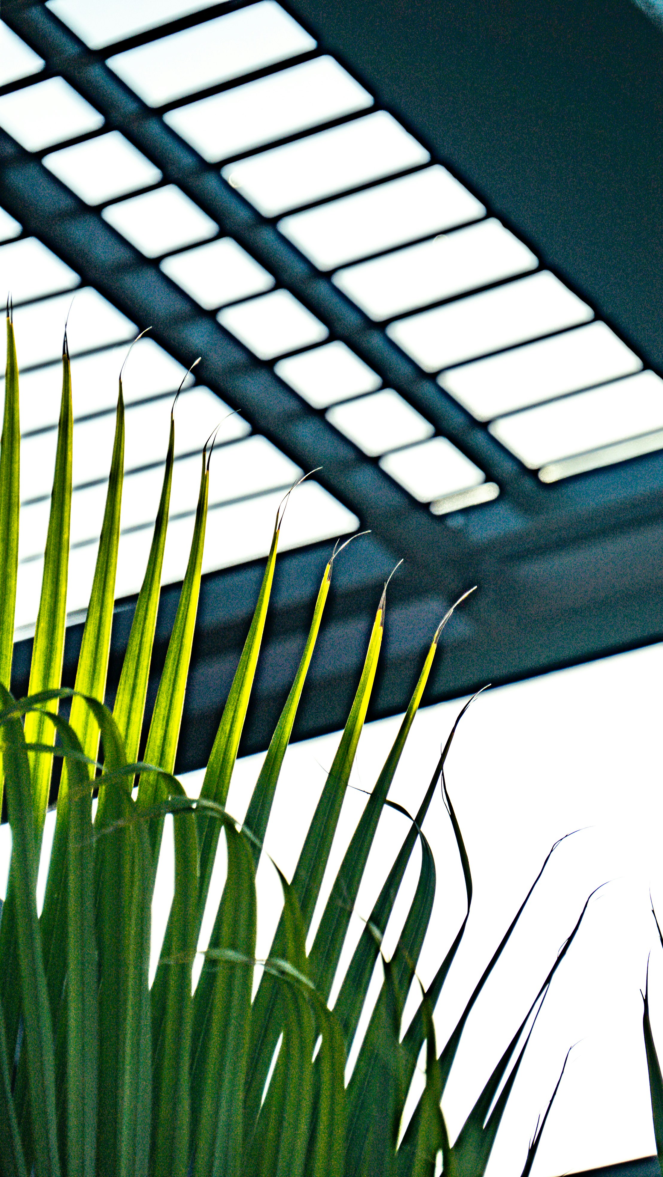 Photo by cthecreator