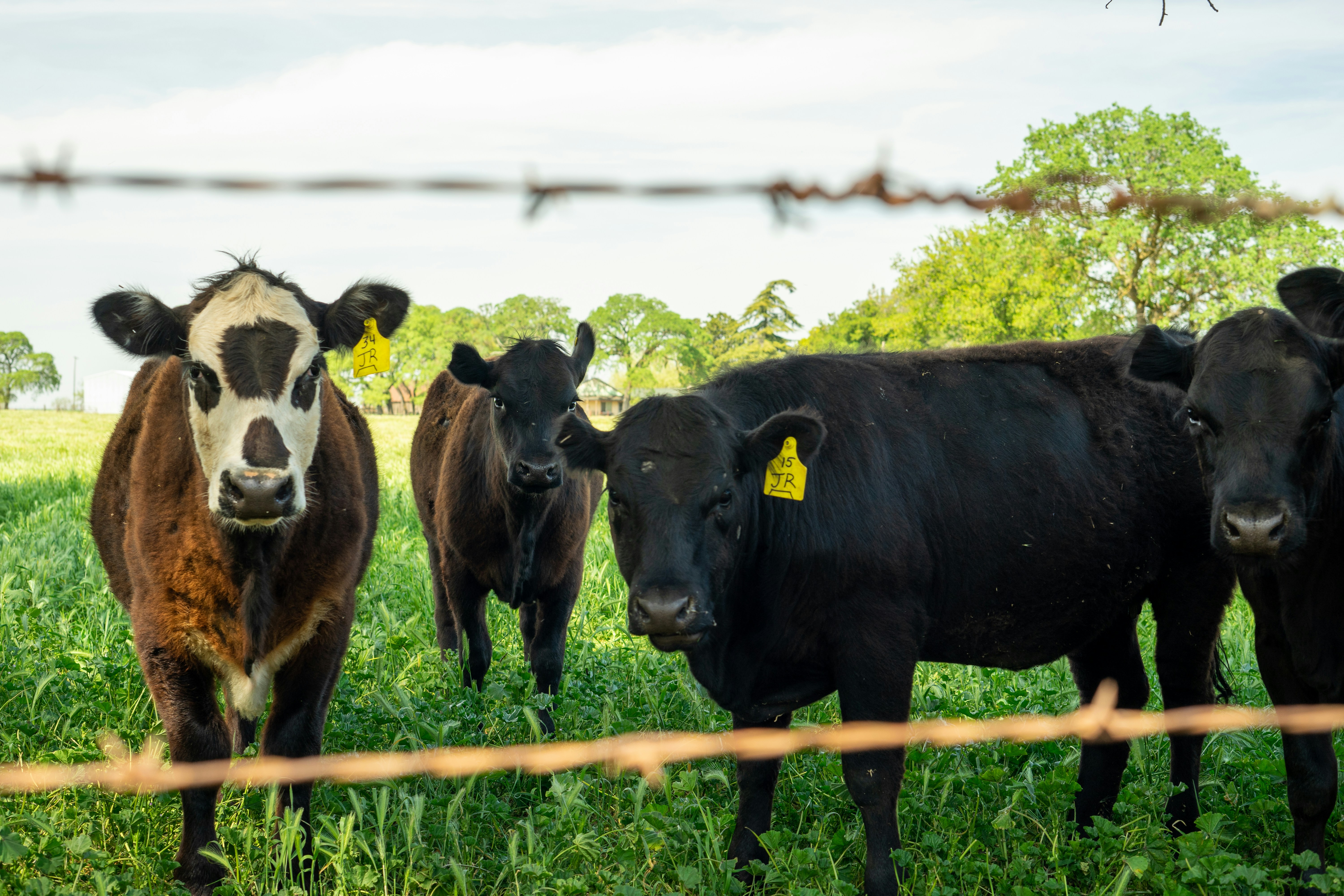 Photo by cthecreator