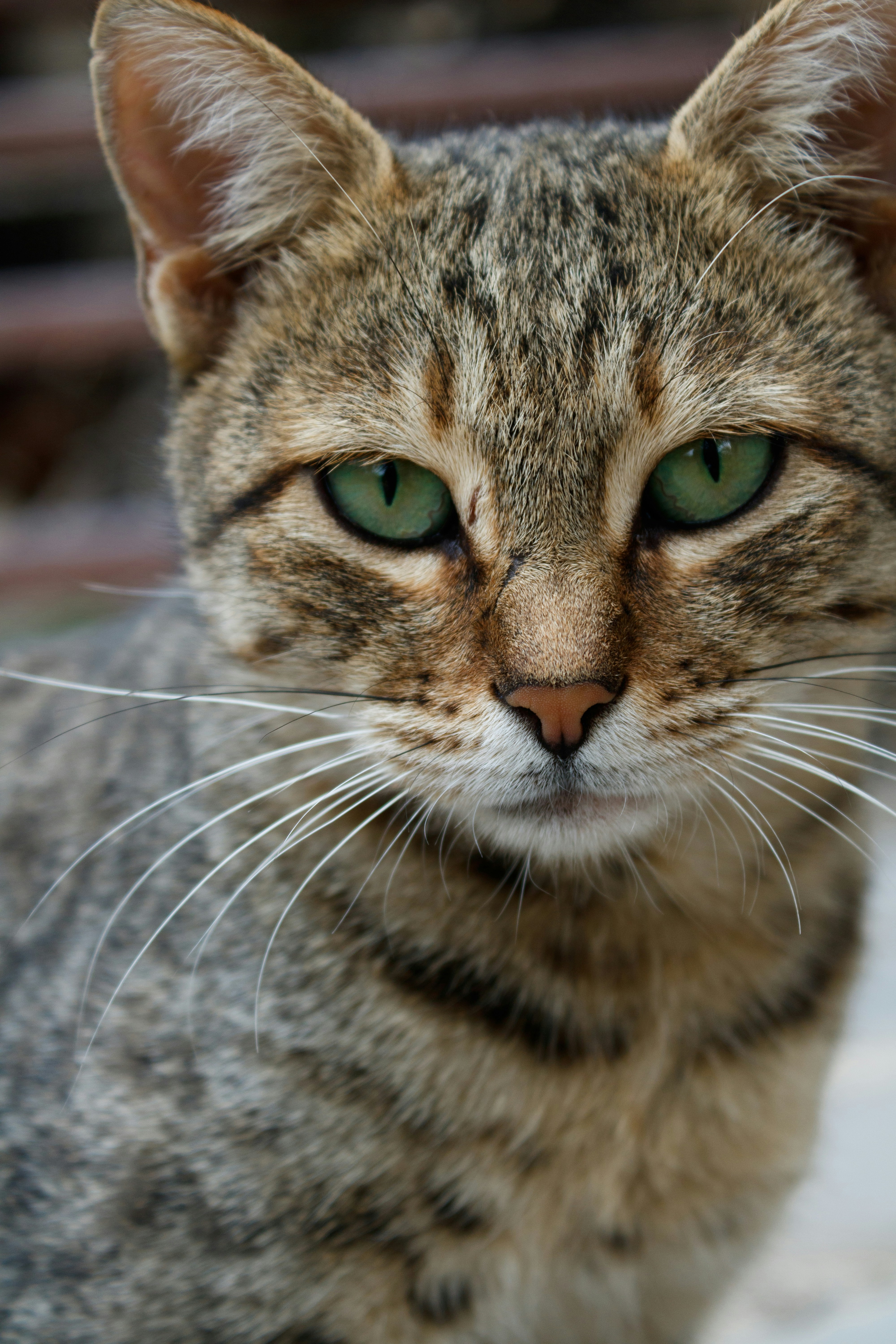 20. Eyelid Games: Heavy or Hyper? (image credits: unsplash)