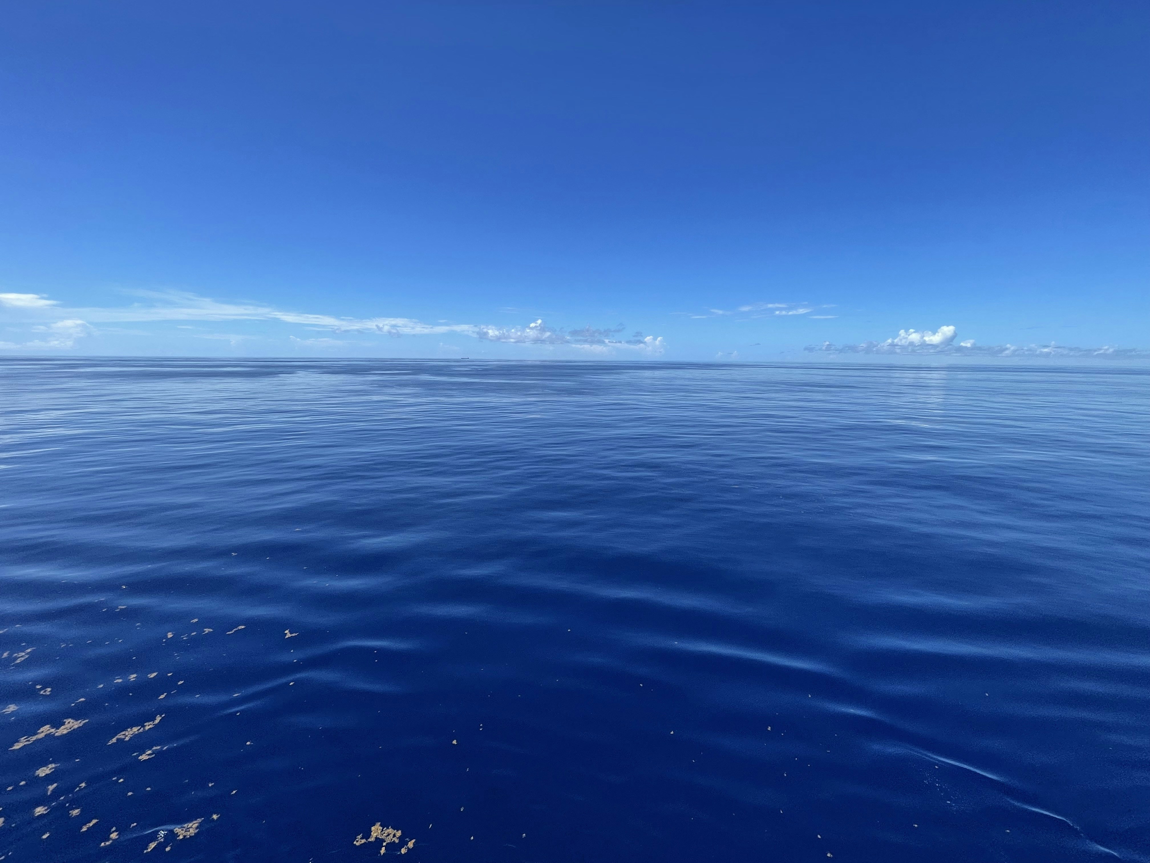 Photo by calvin_coolridge