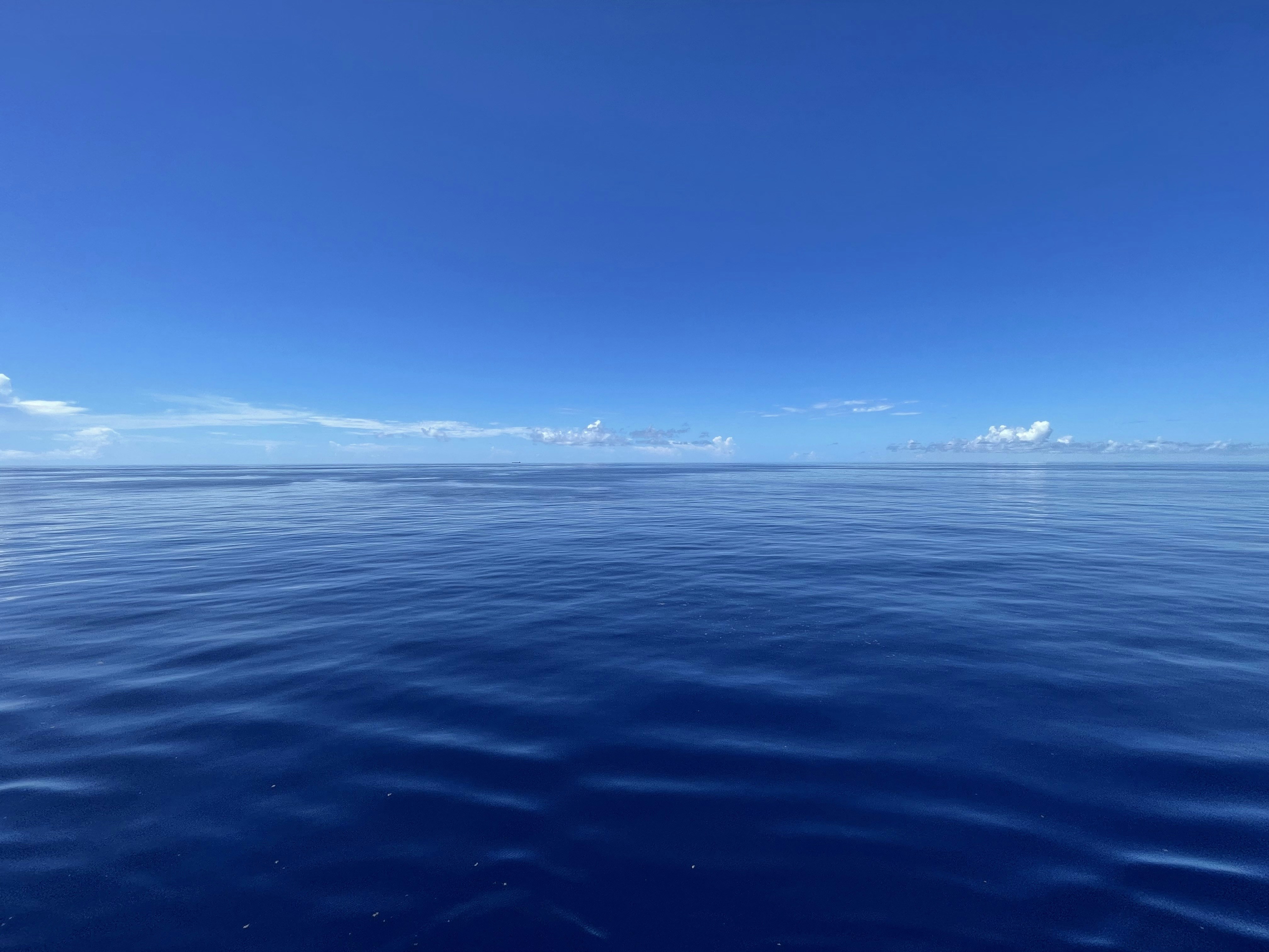 Photo by calvin_coolridge