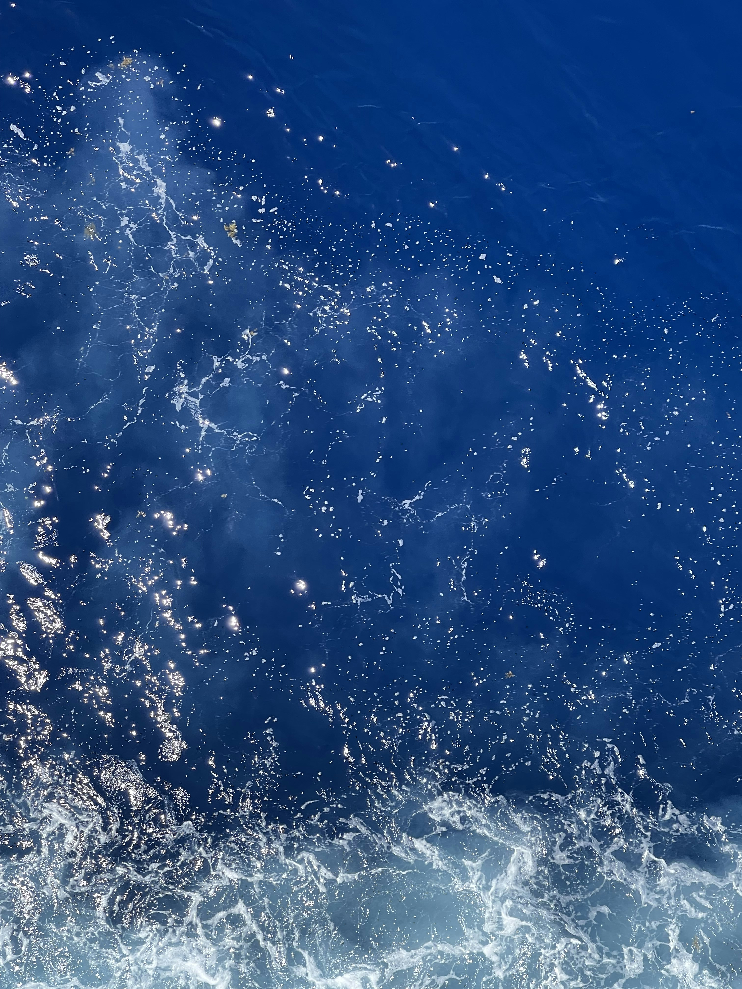 Photo by calvin_coolridge