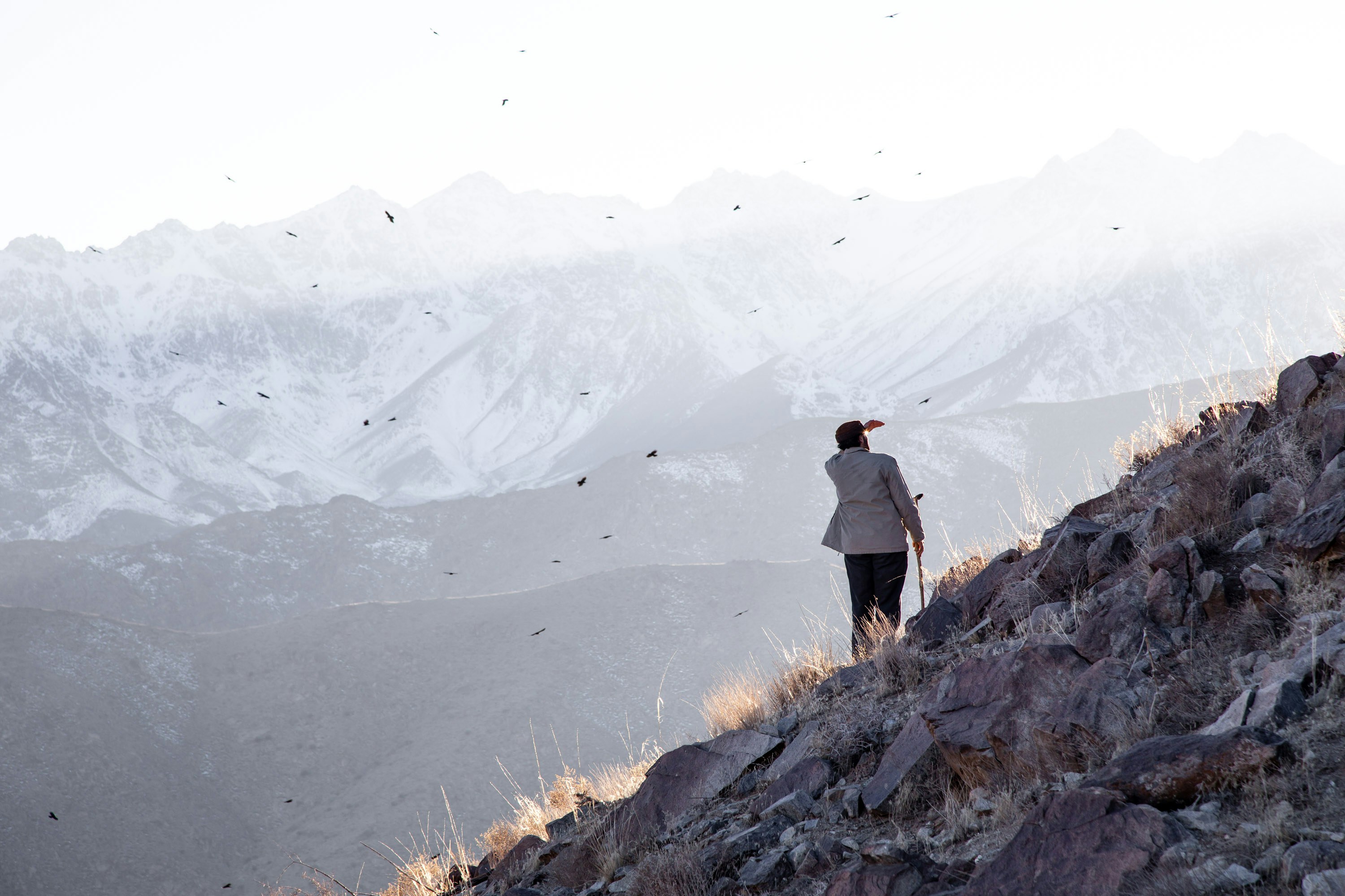 Photo by adventurous_artist