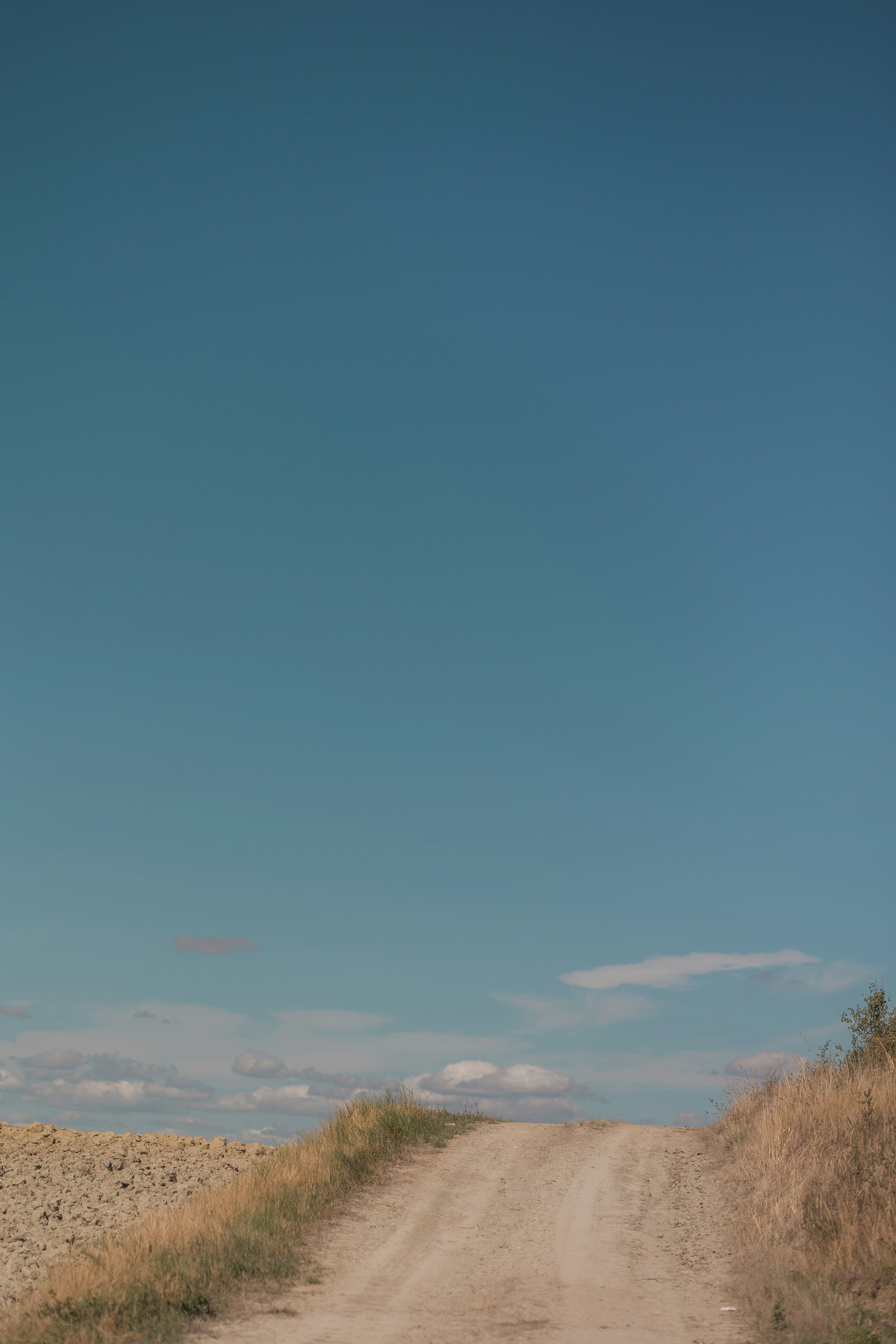 a dirt road with grass on either side of it