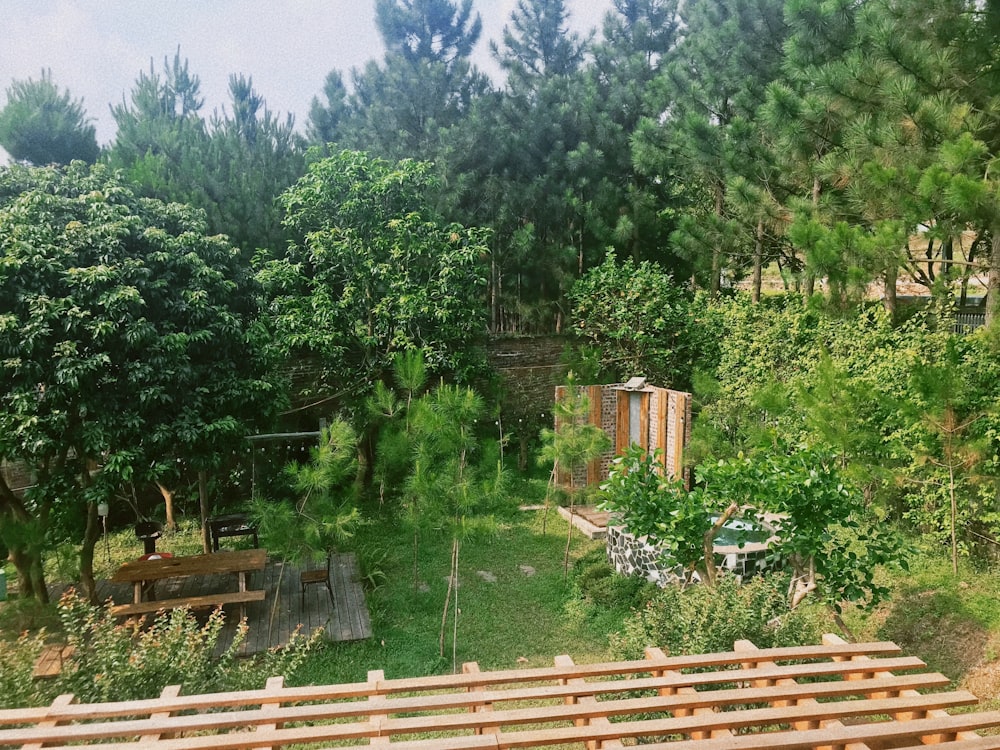 a garden with trees and a fence