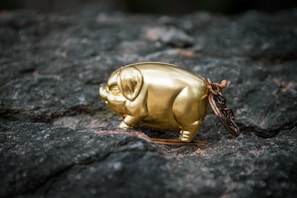 A golden pig figurine is placed on a textured rock surface. The pig is shiny and appears to be a decorative piece, possibly made of metal. It is positioned in profile view, showcasing its shape and details against a natural, rugged backdrop.