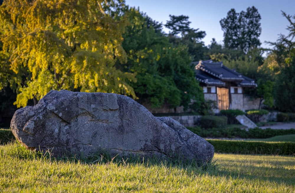 a large boulder in a grassy area