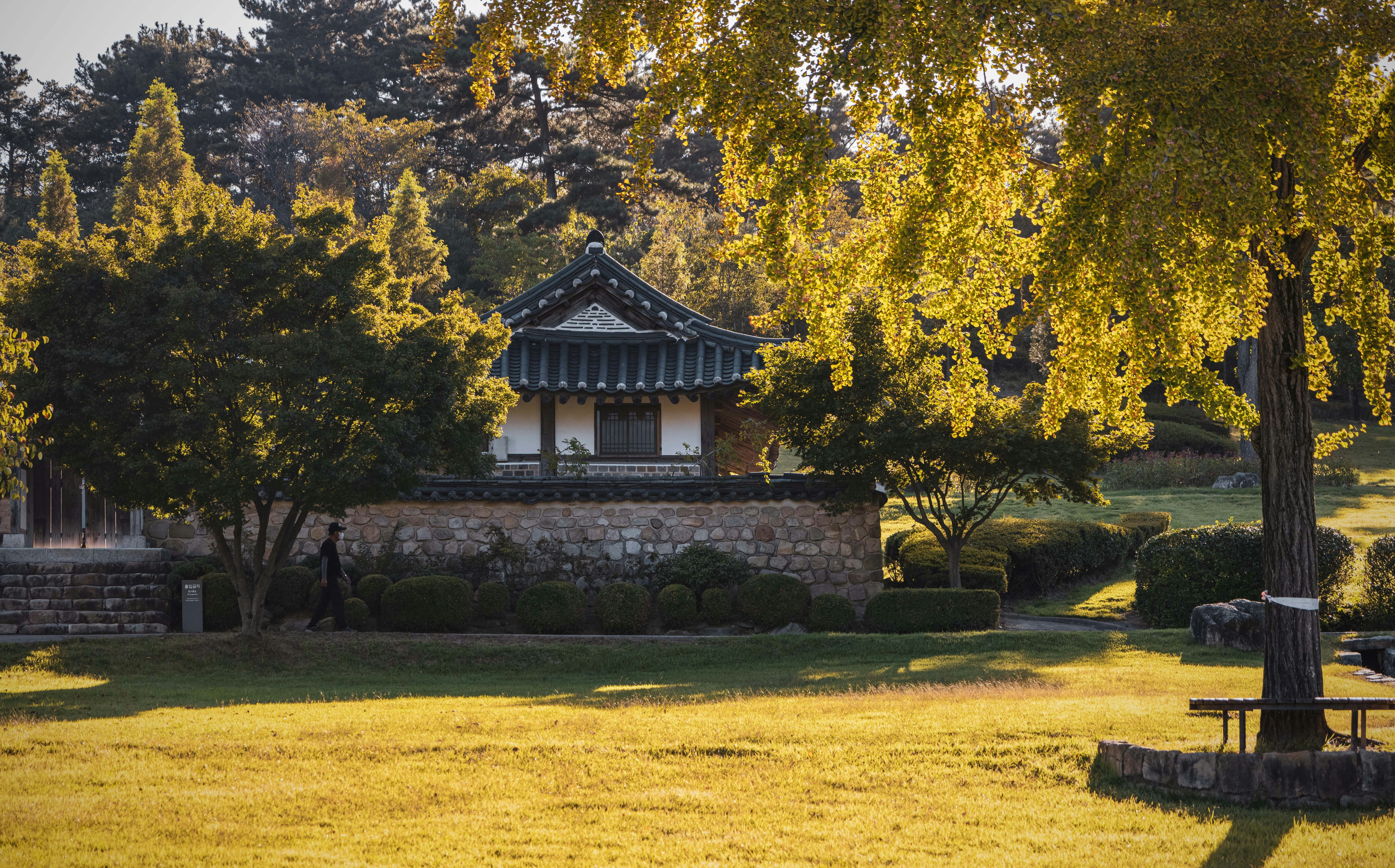 Photo by photosofkorea