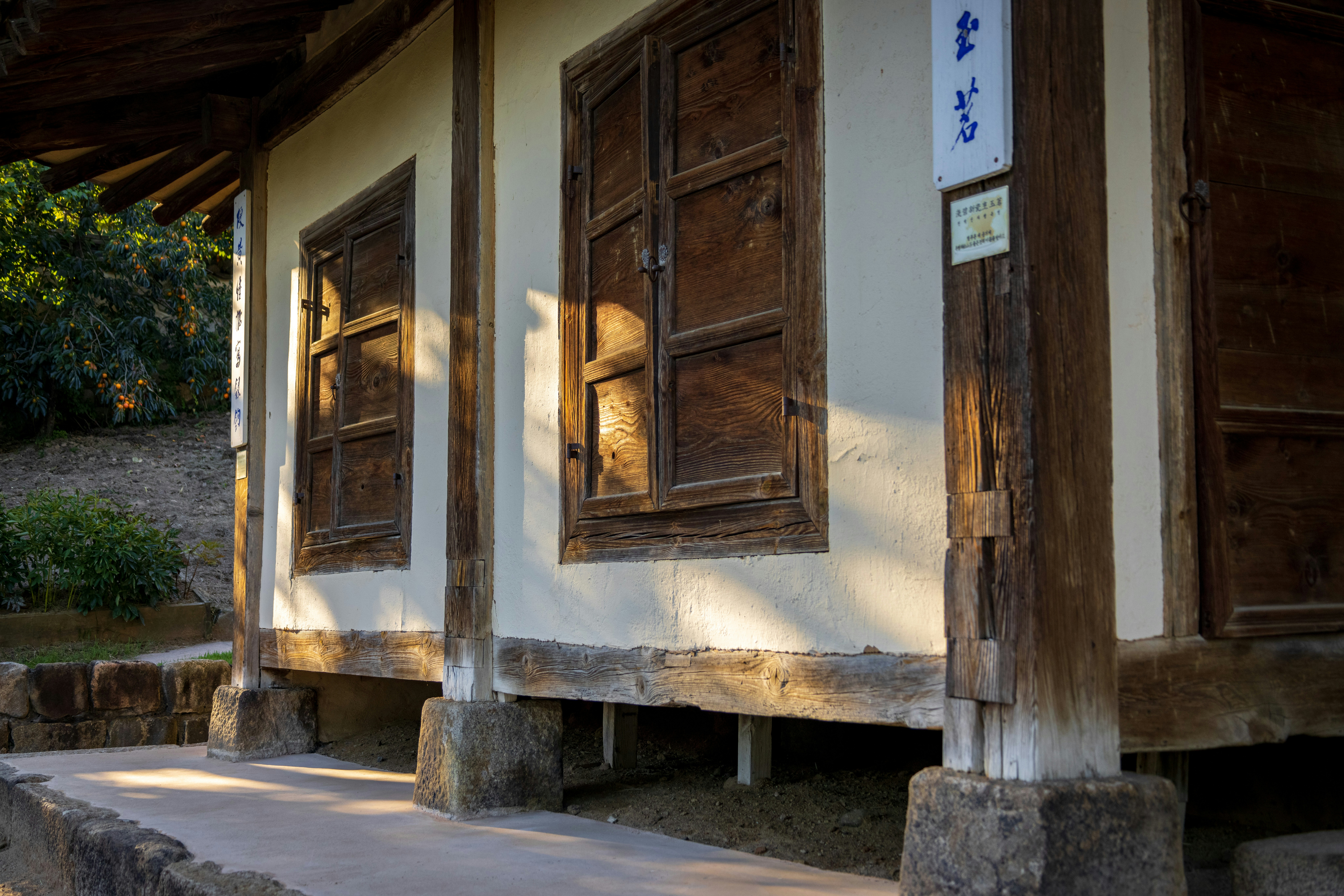 Photo by photosofkorea