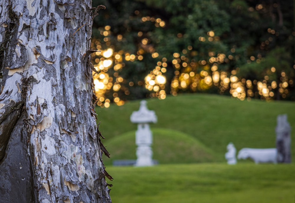 a tree with a white statue in the middle of it