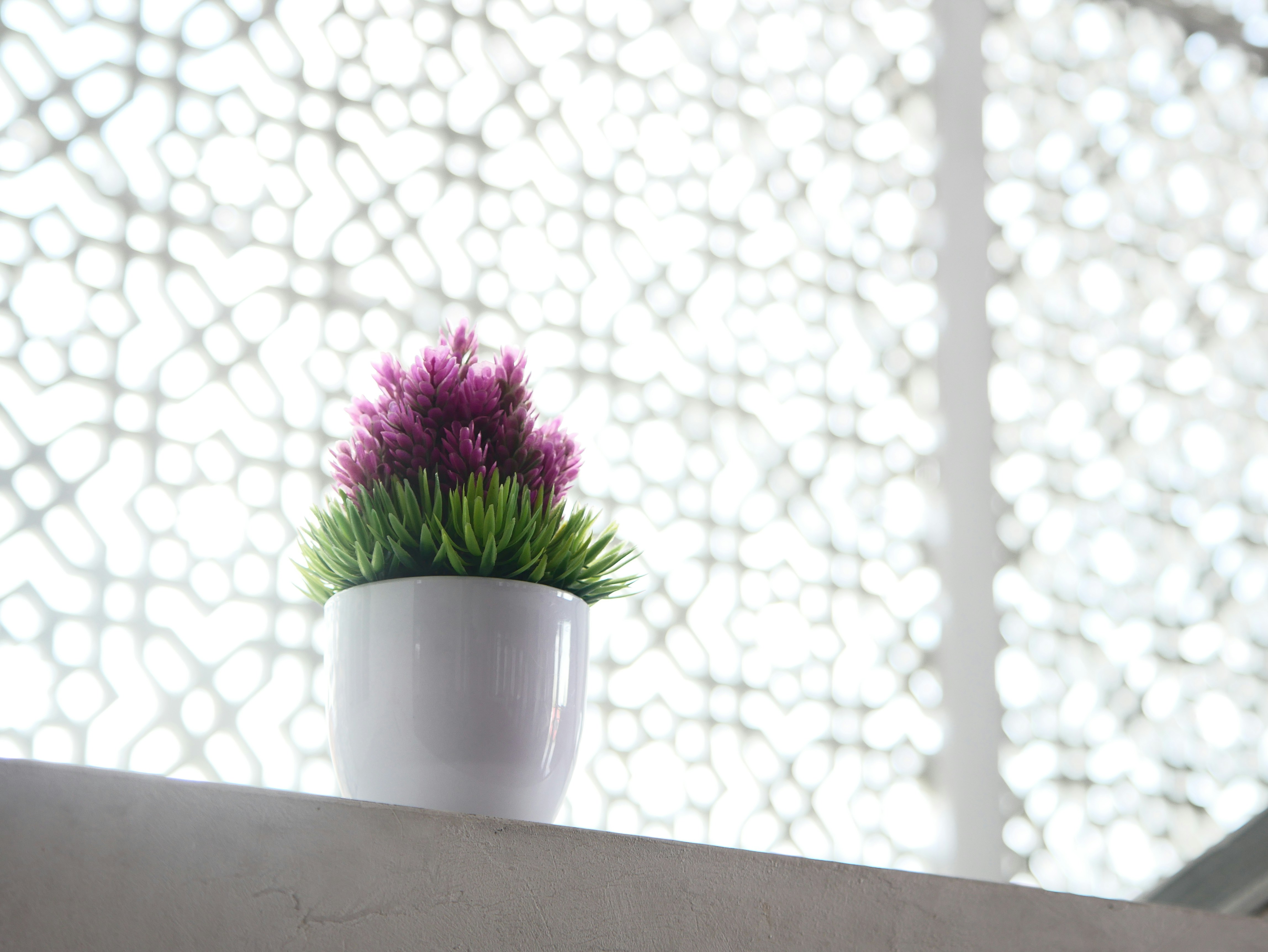 Un jarrón con flores púrpuras