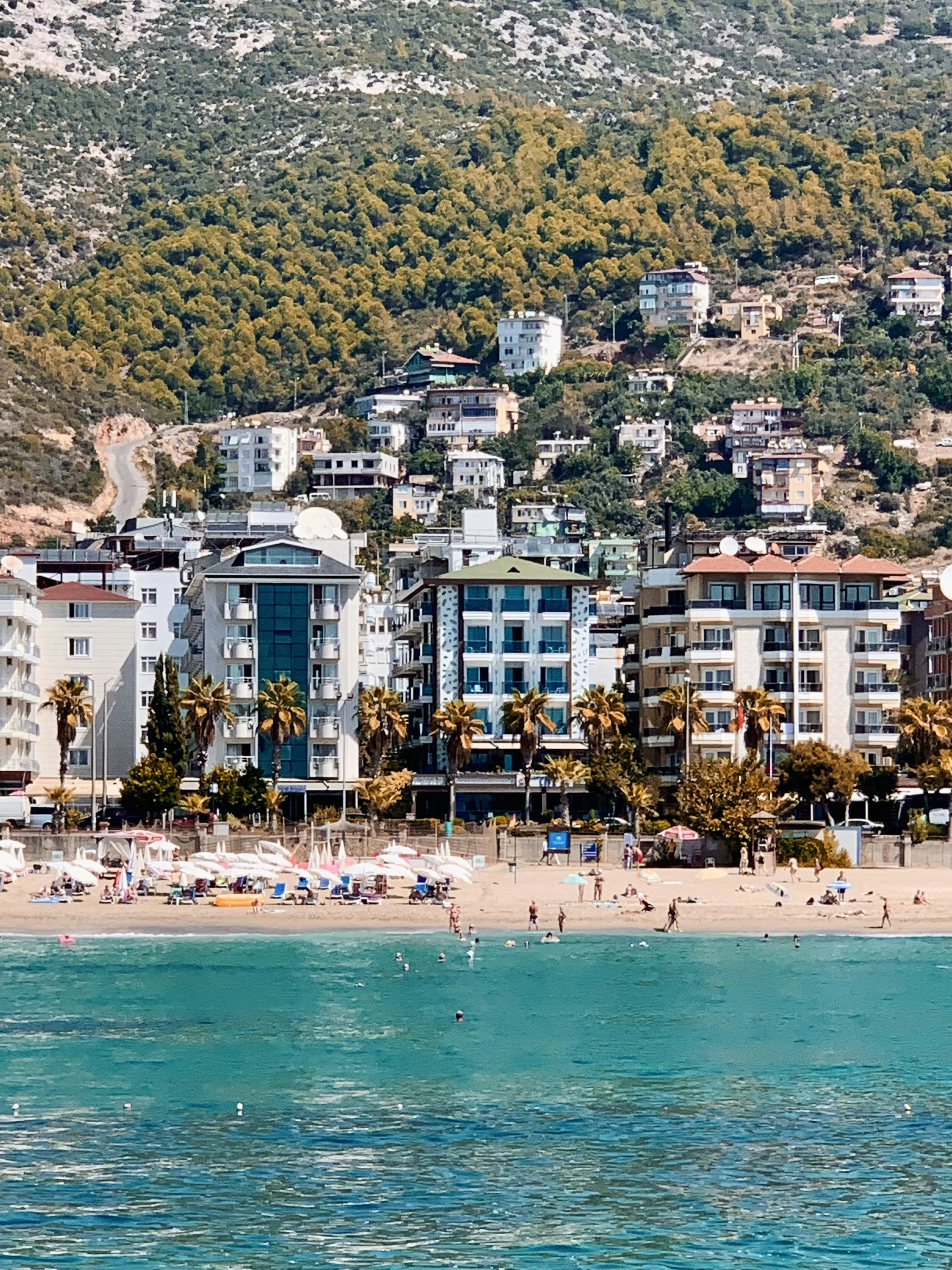 Photo by catalindumitrascu