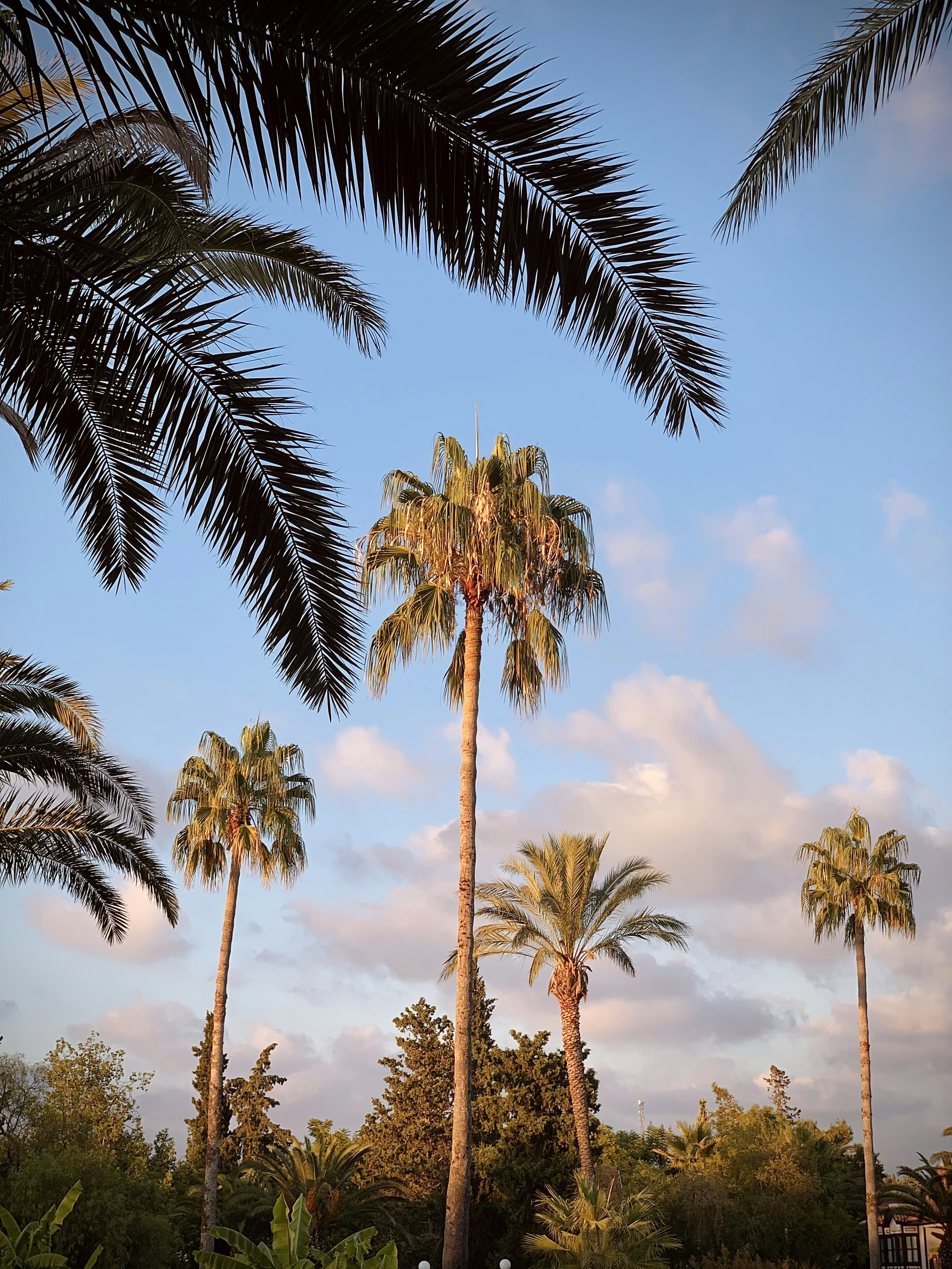 Photo by catalindumitrascu