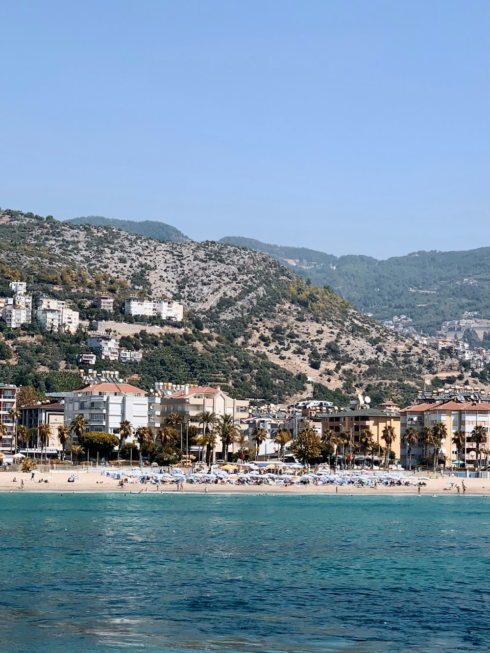 una spiaggia con edifici e alberi