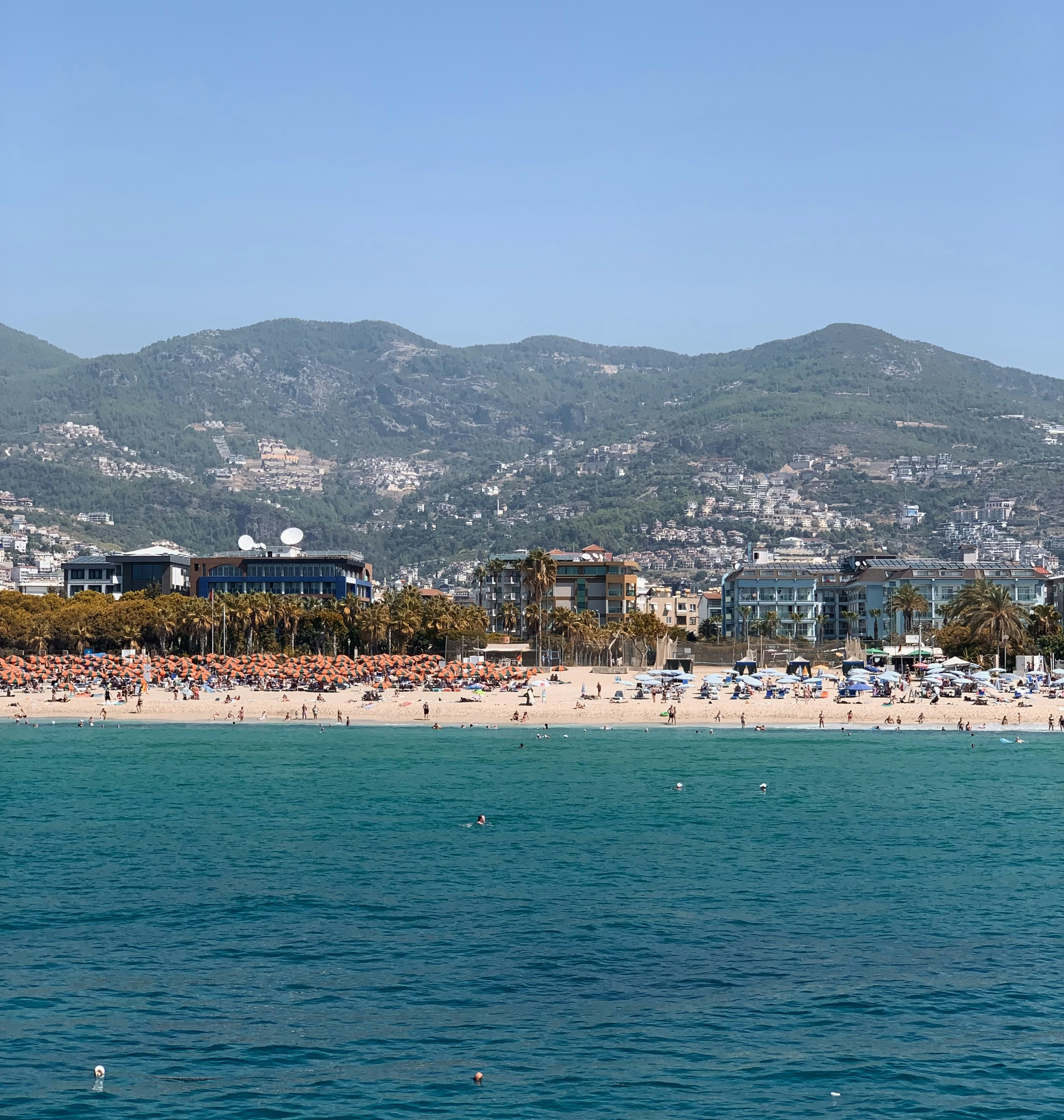 Photo by catalindumitrascu