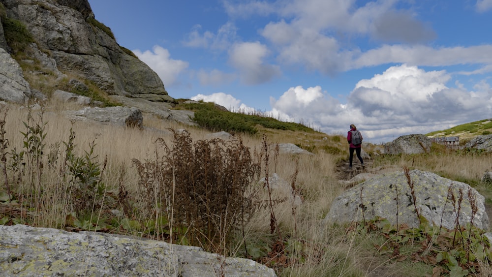 a person walking on a path between rocky hills