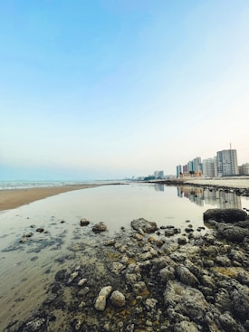 A serene coastal scene with a rocky shoreline leading to a calm body of water, reflecting a clear blue sky. Tall modern buildings line the distant horizon, suggesting an urban setting adjacent to the beach.