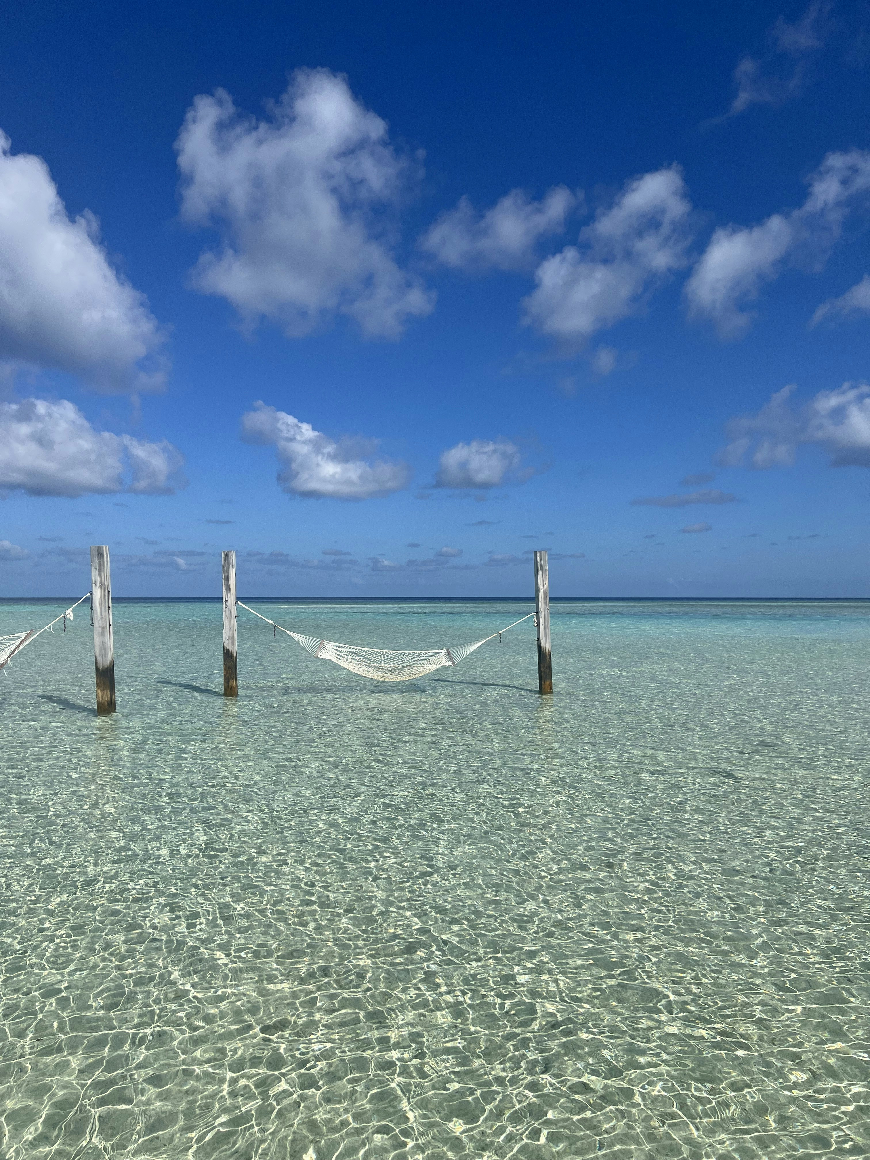 Imagen verticalPhoto3