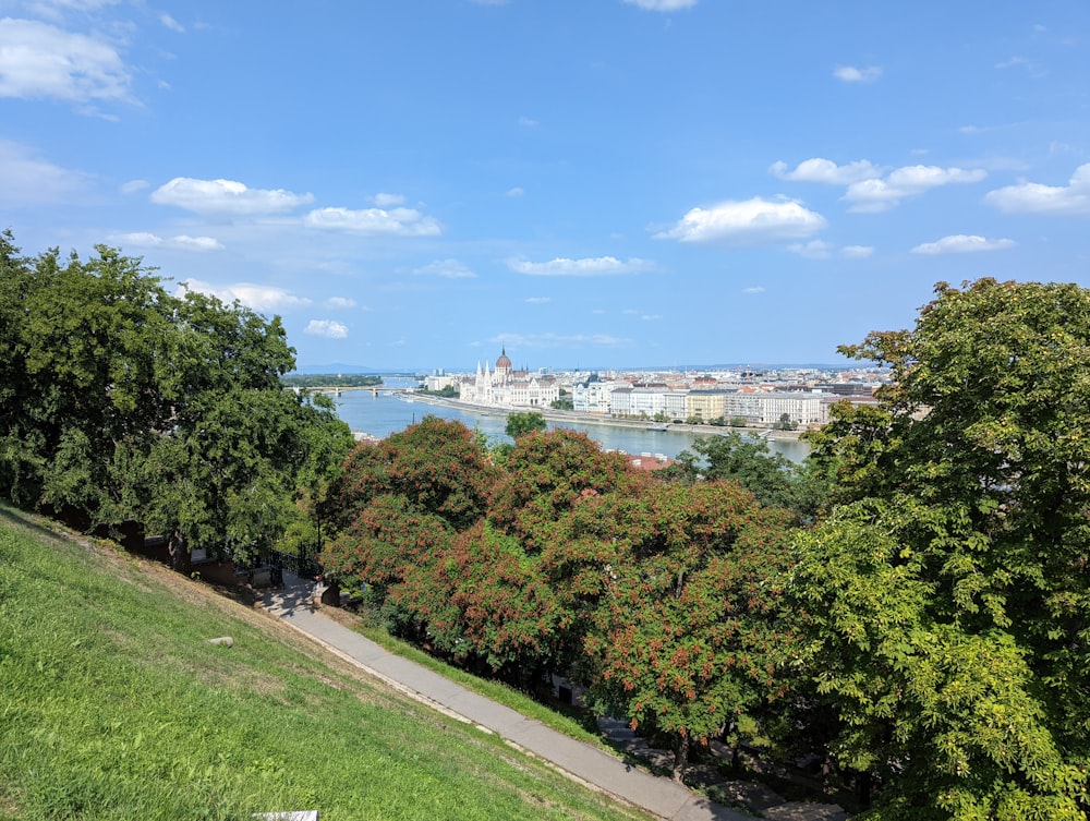 a path leading to a city