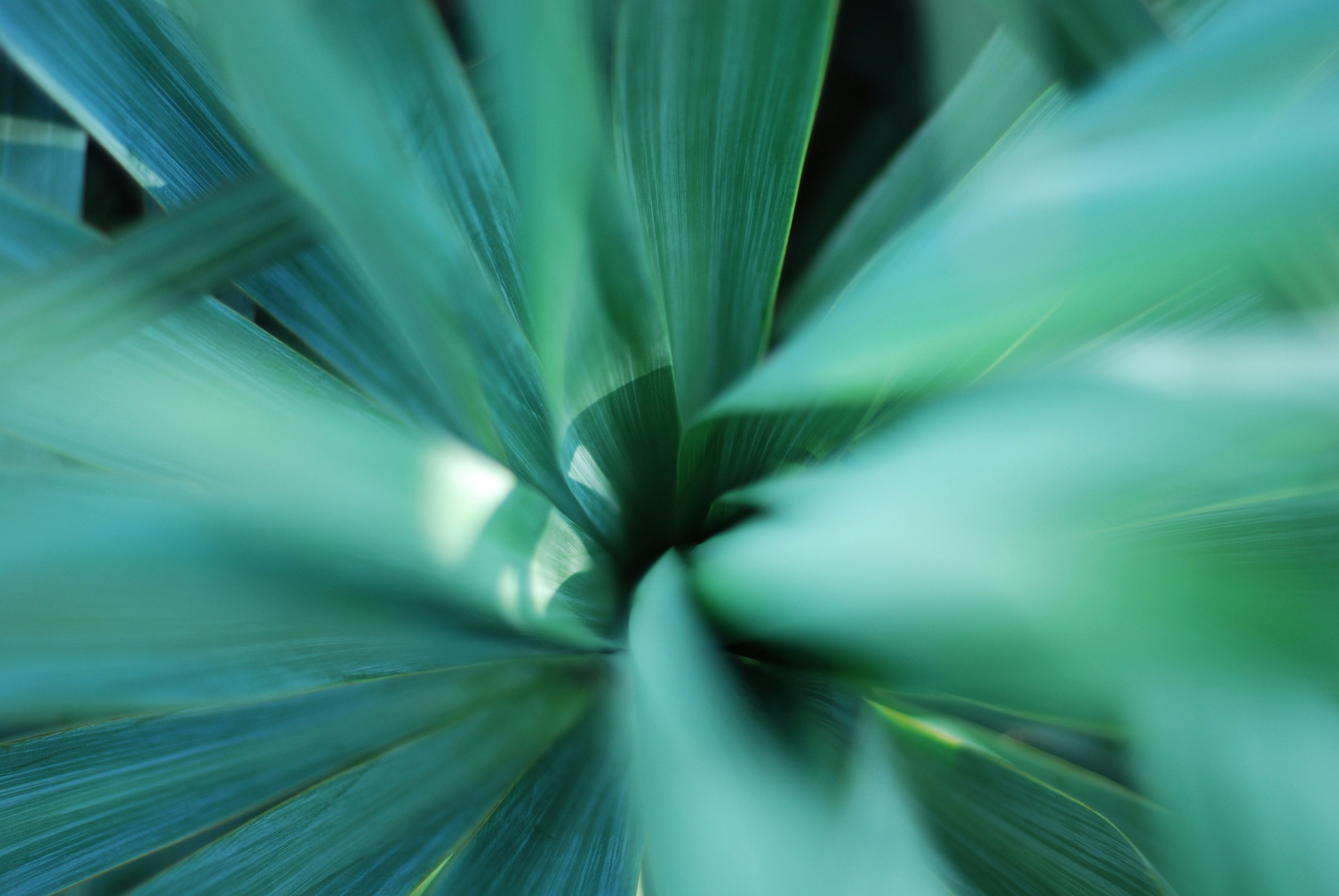 Photo by kovalskihelga