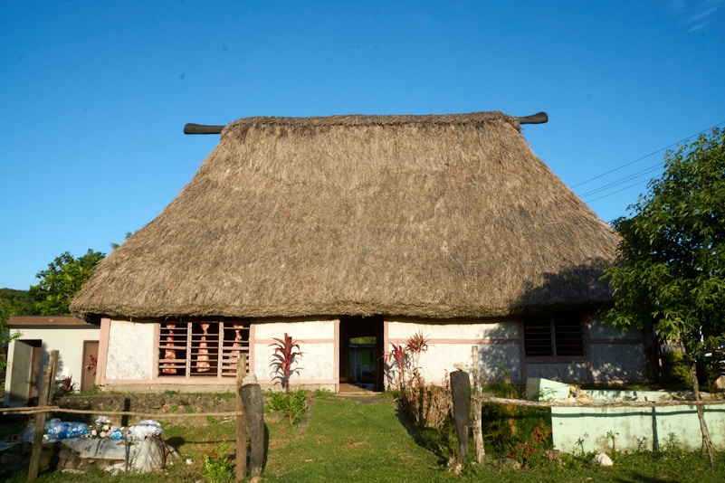 a house with a grass roof