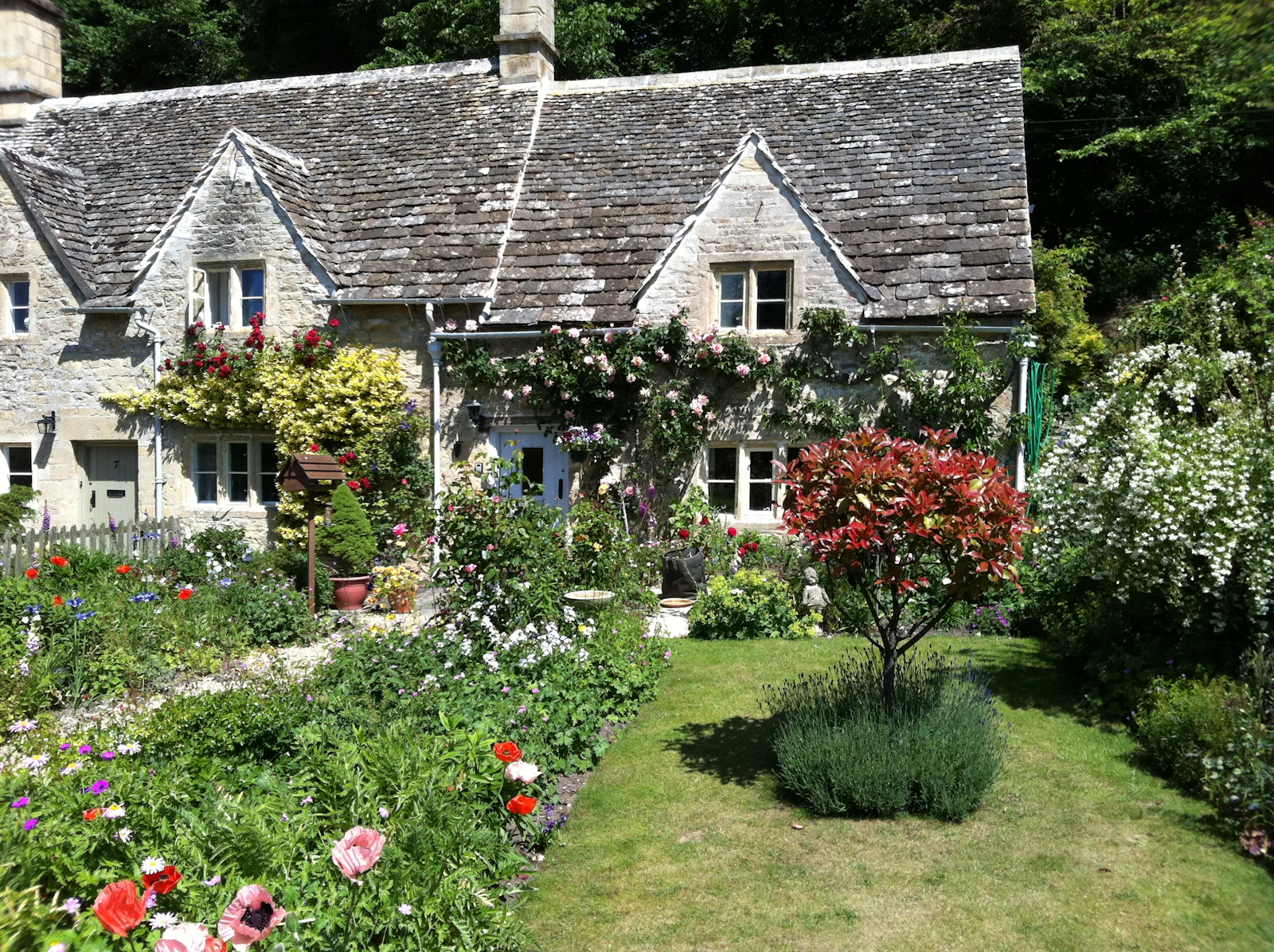 A cottage garden in front of a stone house with green lawn and flowering borders.