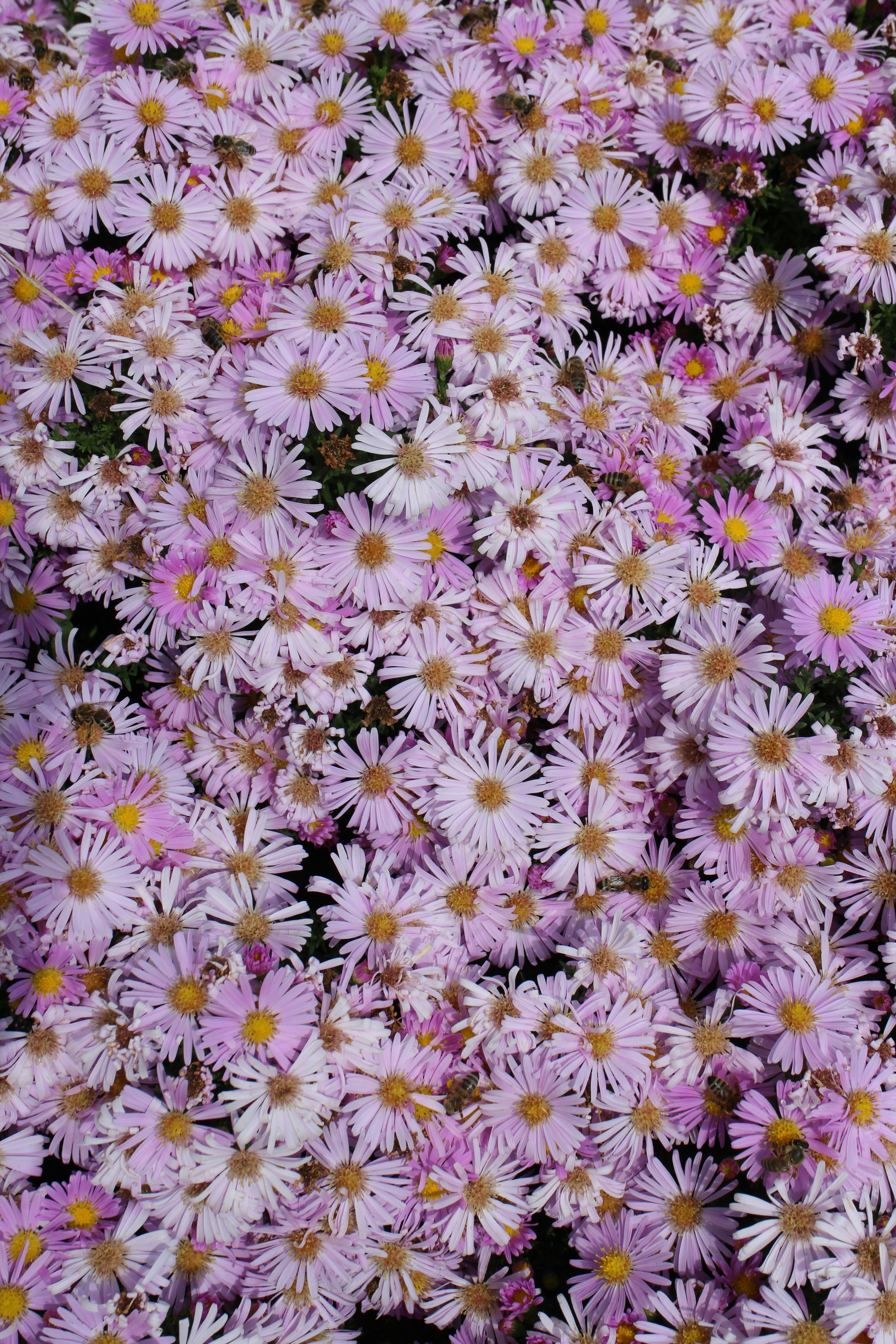 Photo by vlerehyseni