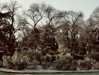 A garden area with various plants and shrubs bordered by a stone edge. In the background, several large trees are visible, some of which have bare branches while others are dense with foliage. There is a metal structure resembling a garden archway or trellis among the plants.