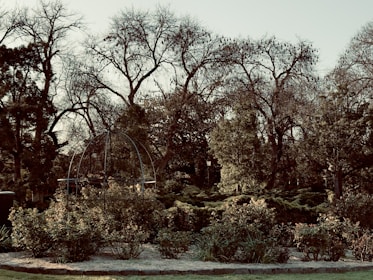 Workers planting shrubs and laying stone pathways in a backyard.