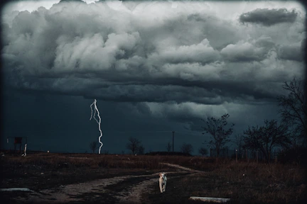 a tornado in the distance