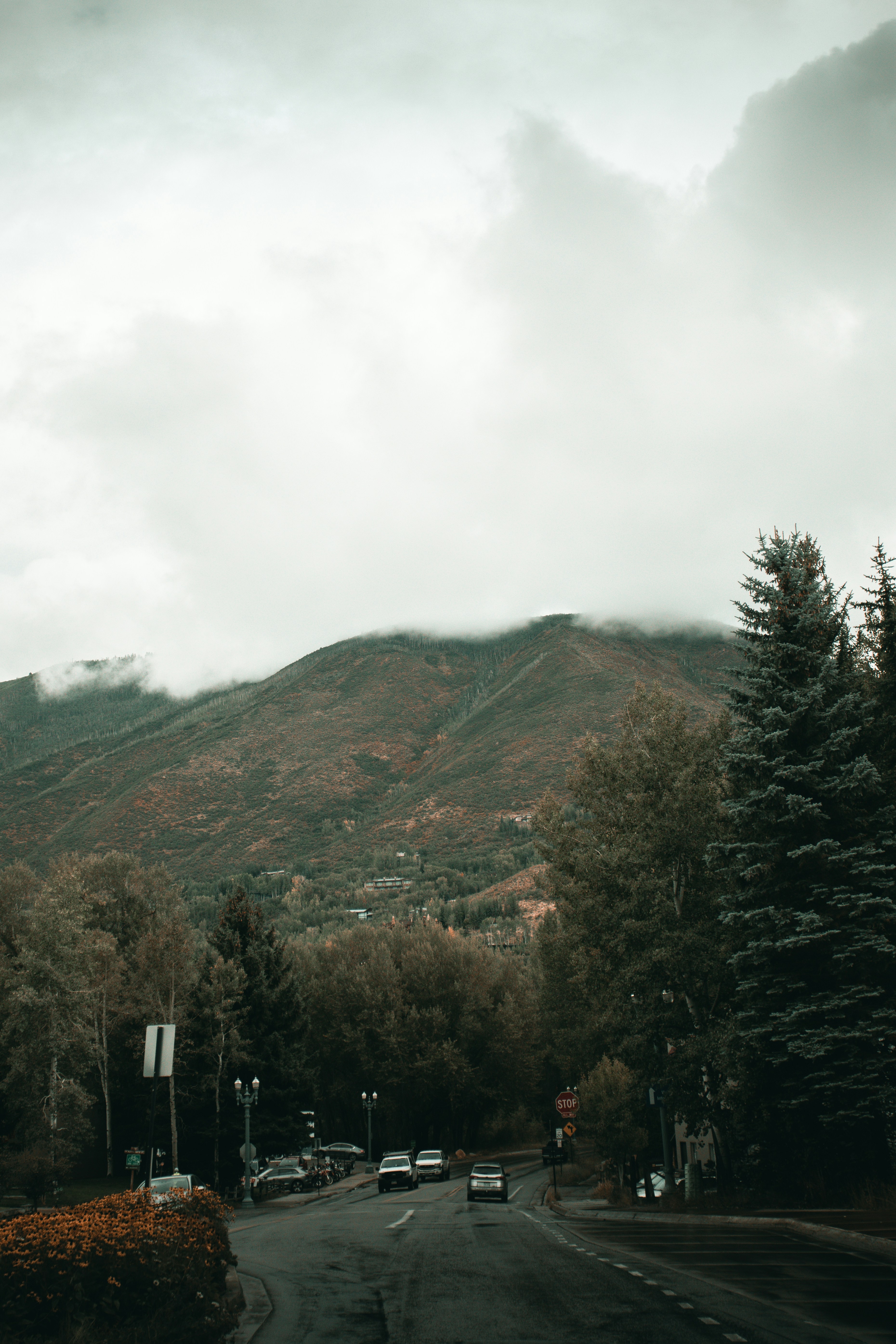 Photo by photosoflogan