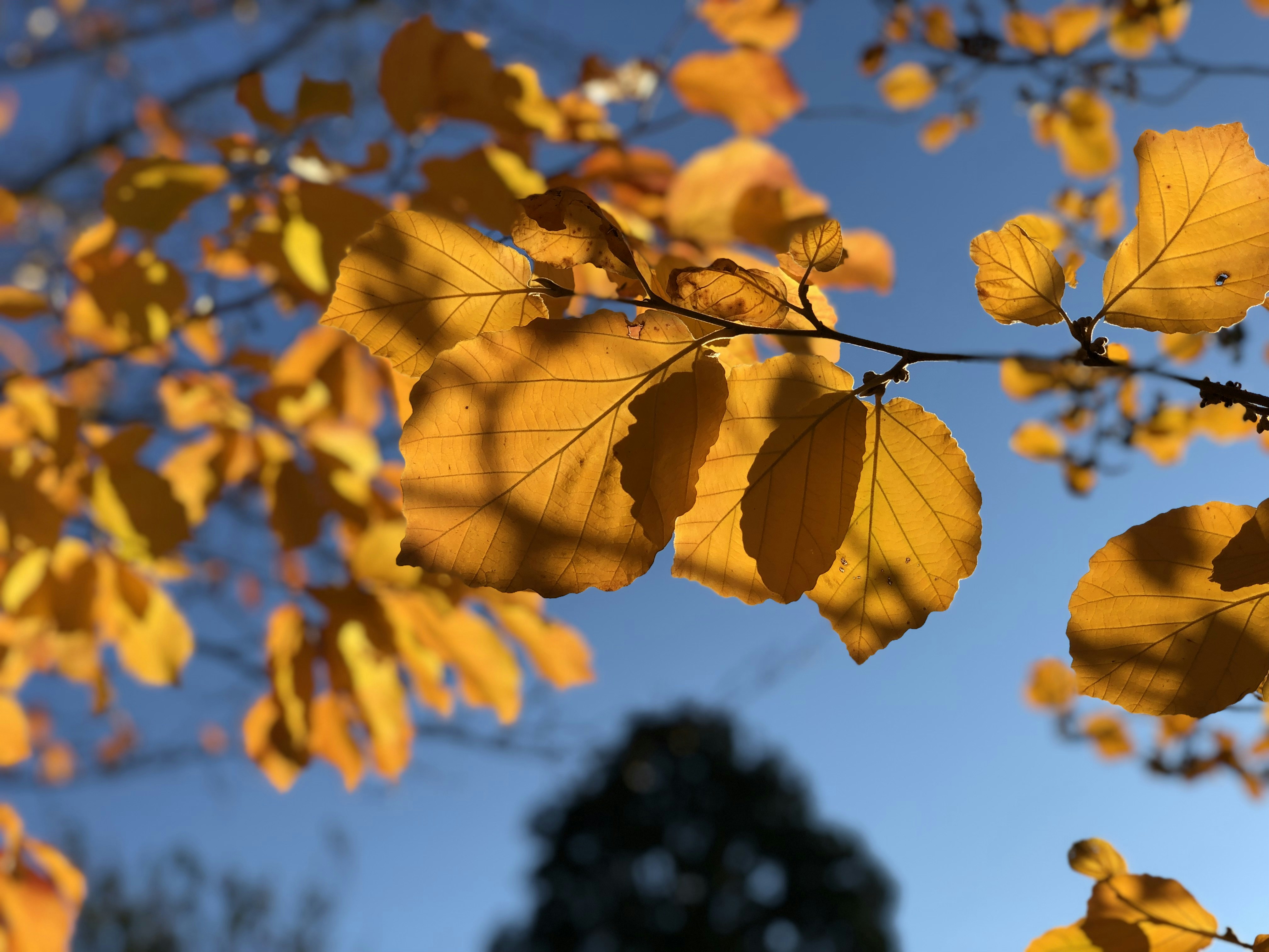 Photo by hdbernd