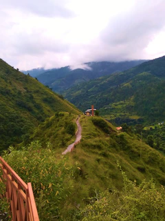 Scenic trail near Chandra Cilas Home Stay with lush greenery and a rustic path.