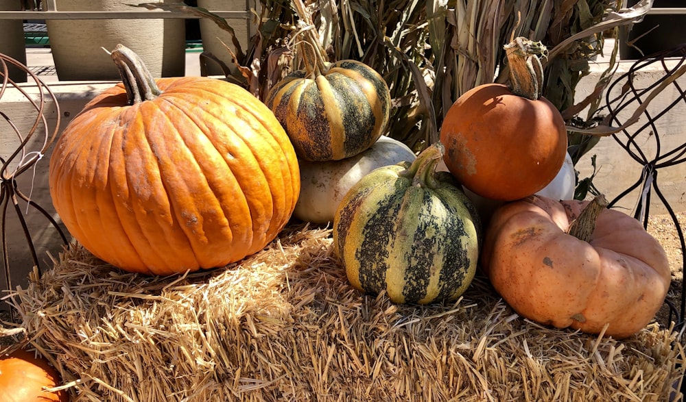 a group of pumpkins in a pile