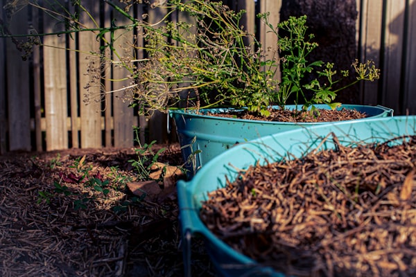 Vasi e piante in contenitori da giardino