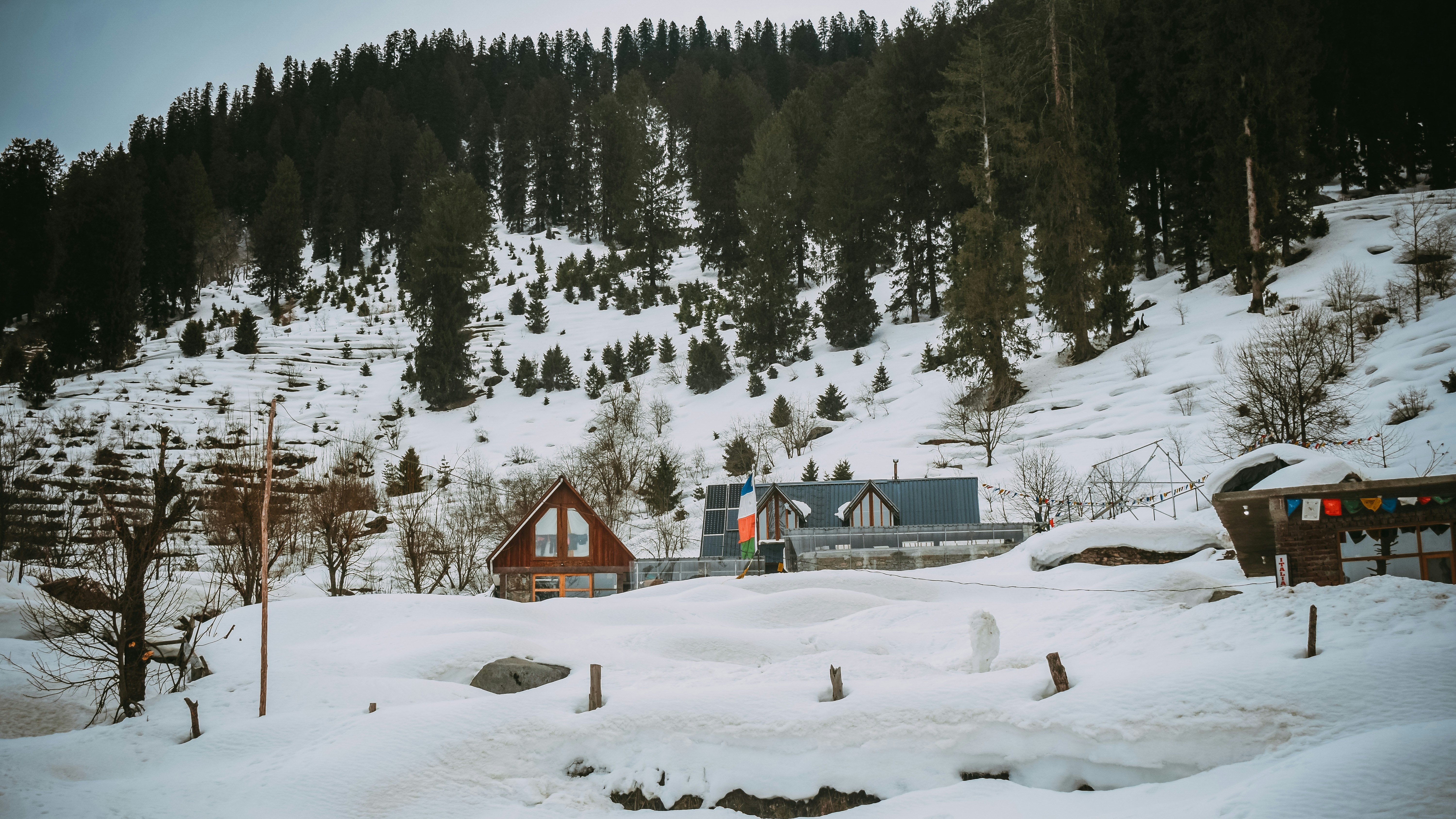 Photo by viveksxr