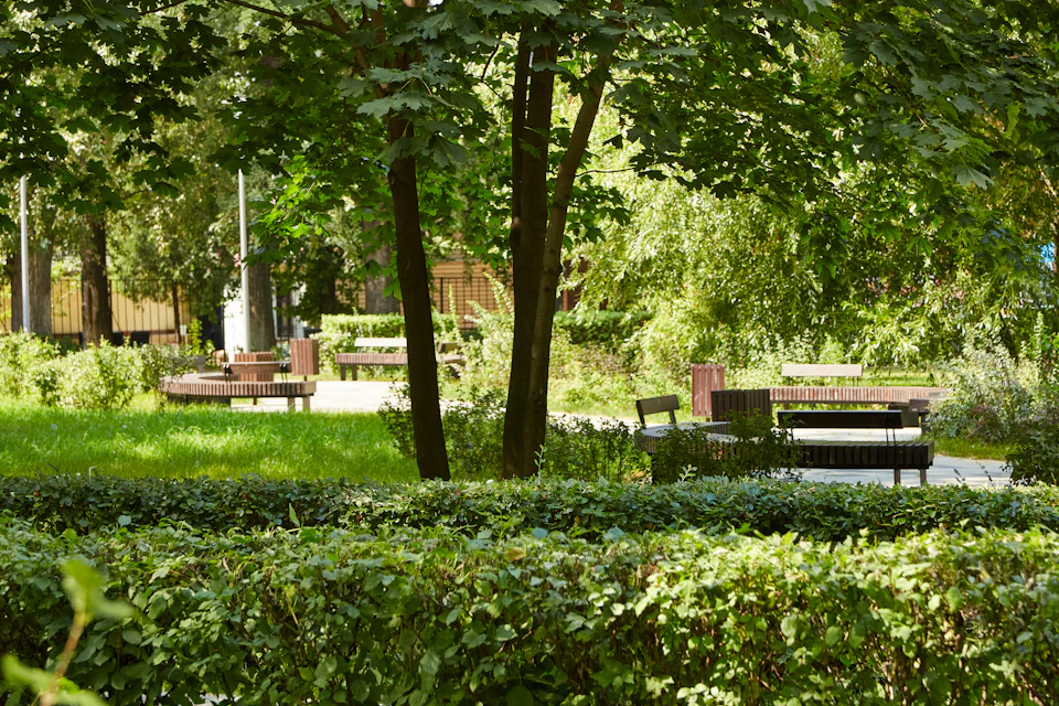 The image depicts a serene park scene with lush green trees and bushes, providing shade for several benches scattered throughout the area. The perspective is from ground level, looking up at the towering trees that form a natural canopy over the park. In total, there are six benches visible in the image, each offering a place to rest and enjoy the tranquil surroundings.