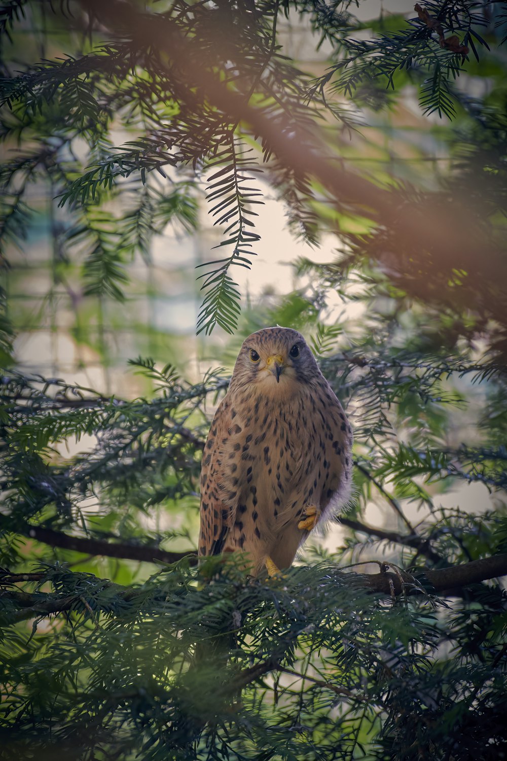 a bird sitting on a tree branch