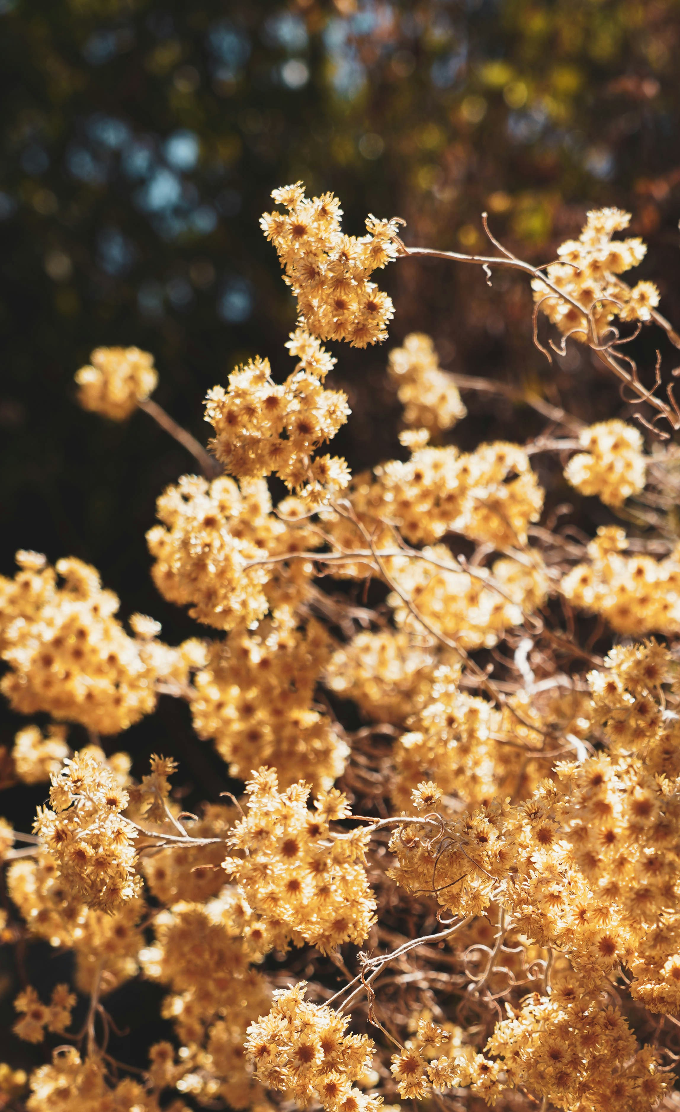 Photo by lesniakkaro