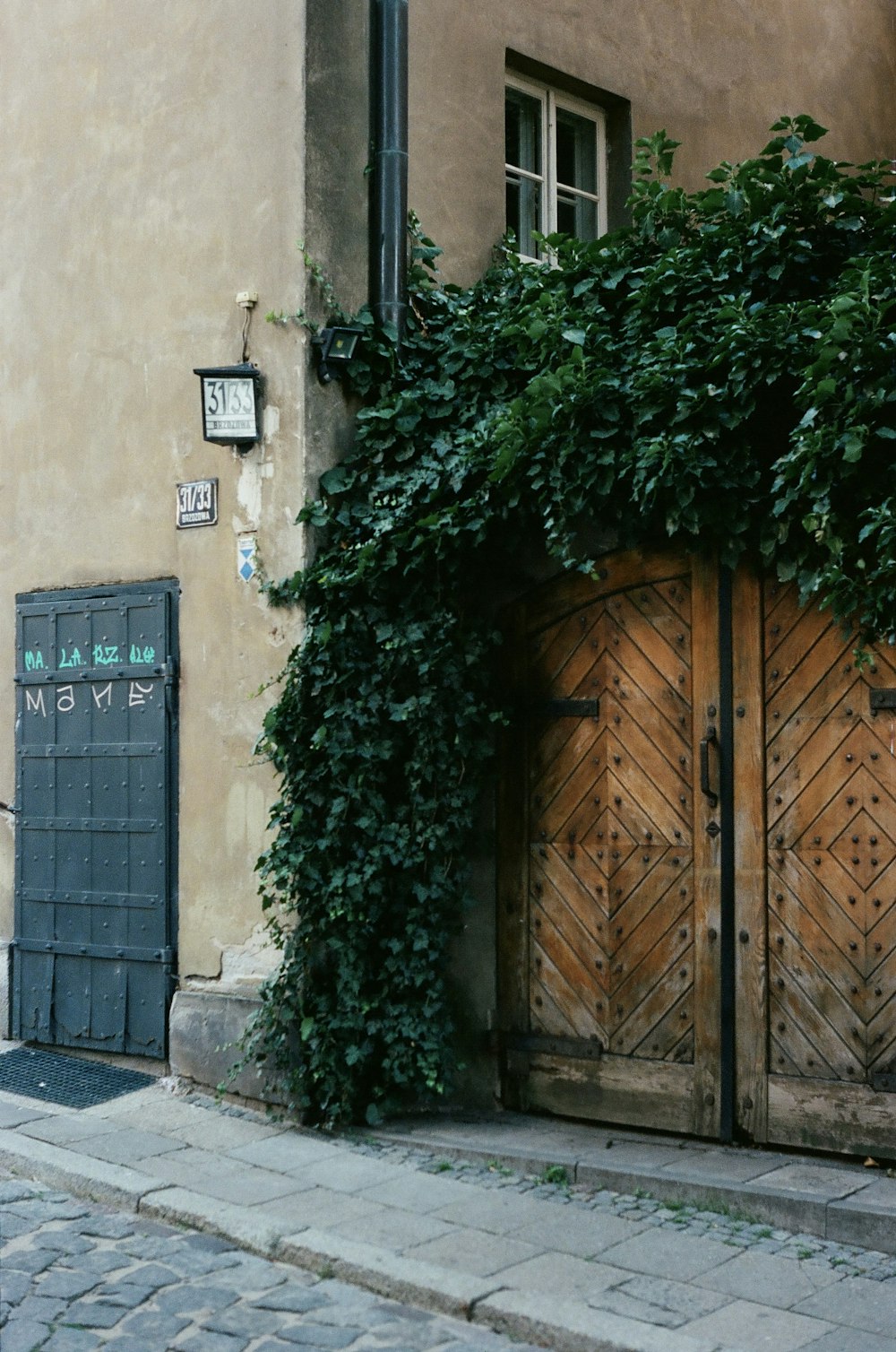 a building with a large door and a bush with green leaves on it