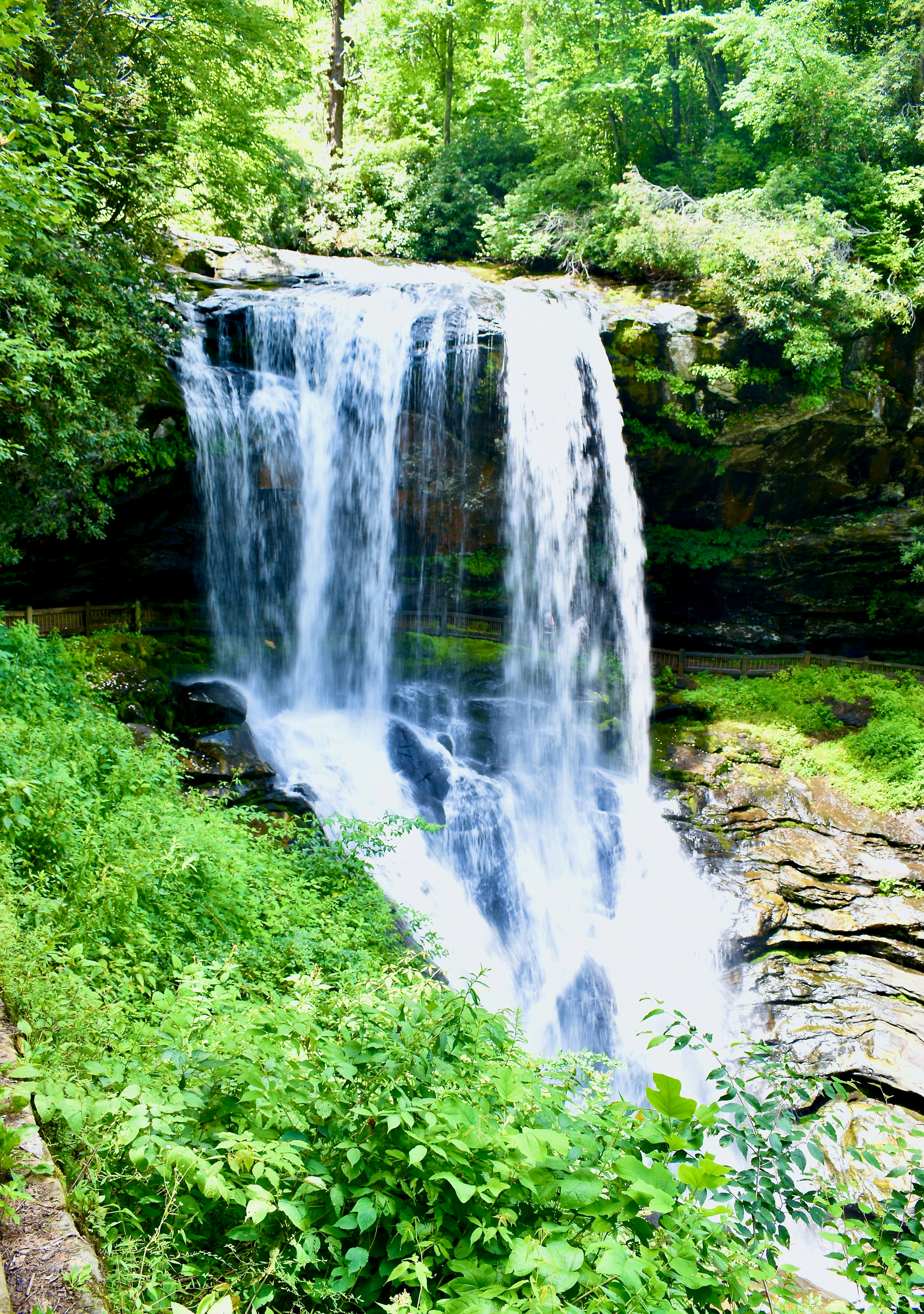 Photo by kellybrookme