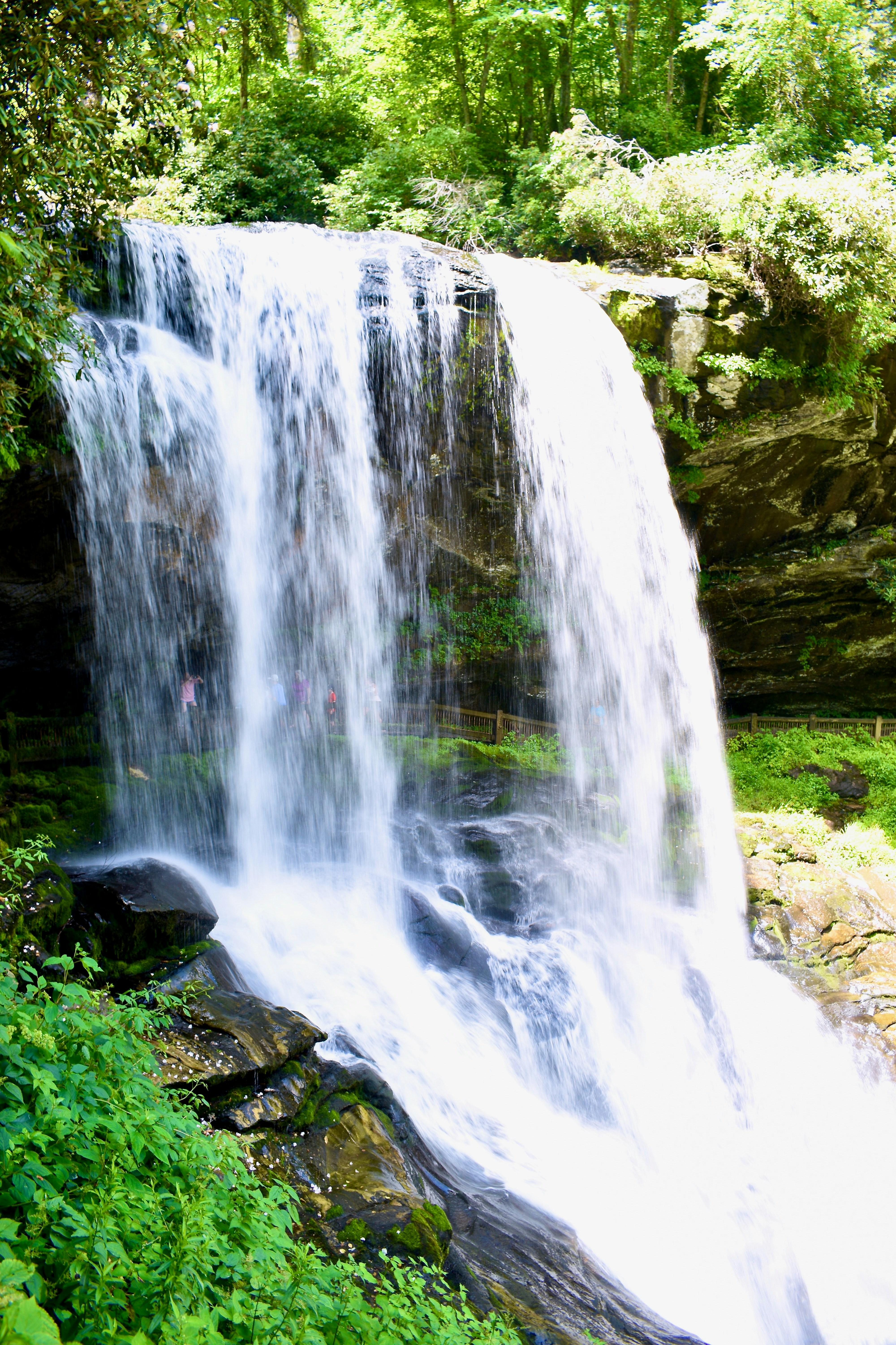 Photo by kellybrookme